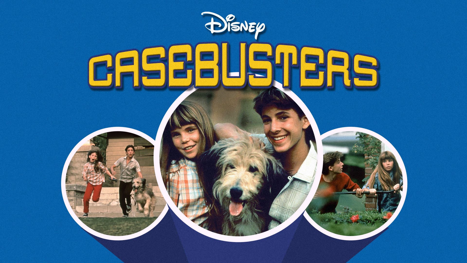 Casebusters - immagine
