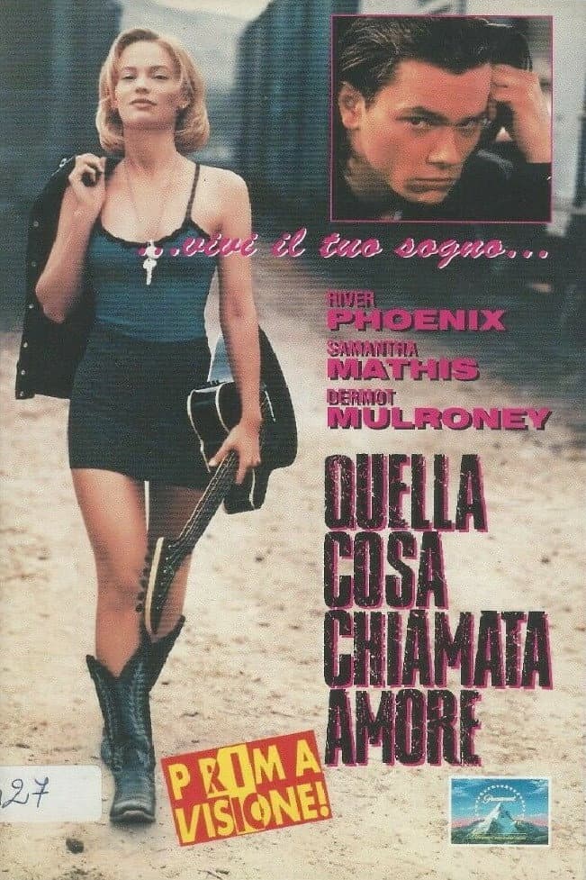 Poster di Quella cosa chiamata amore