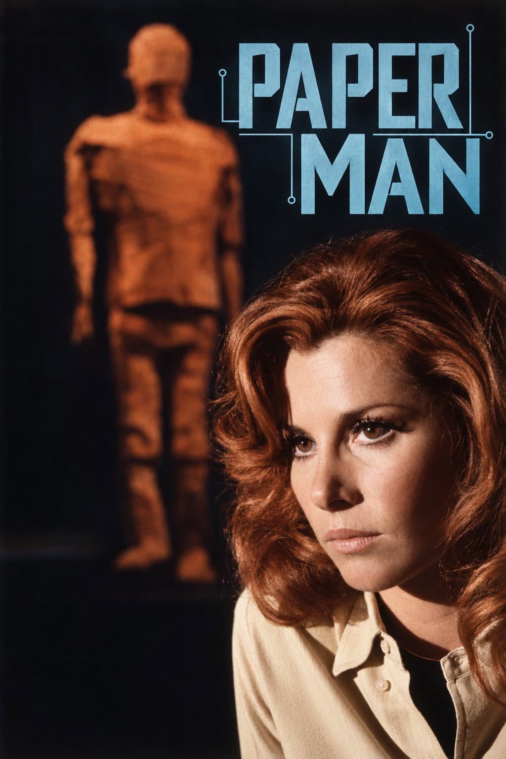 Poster di Paper Man