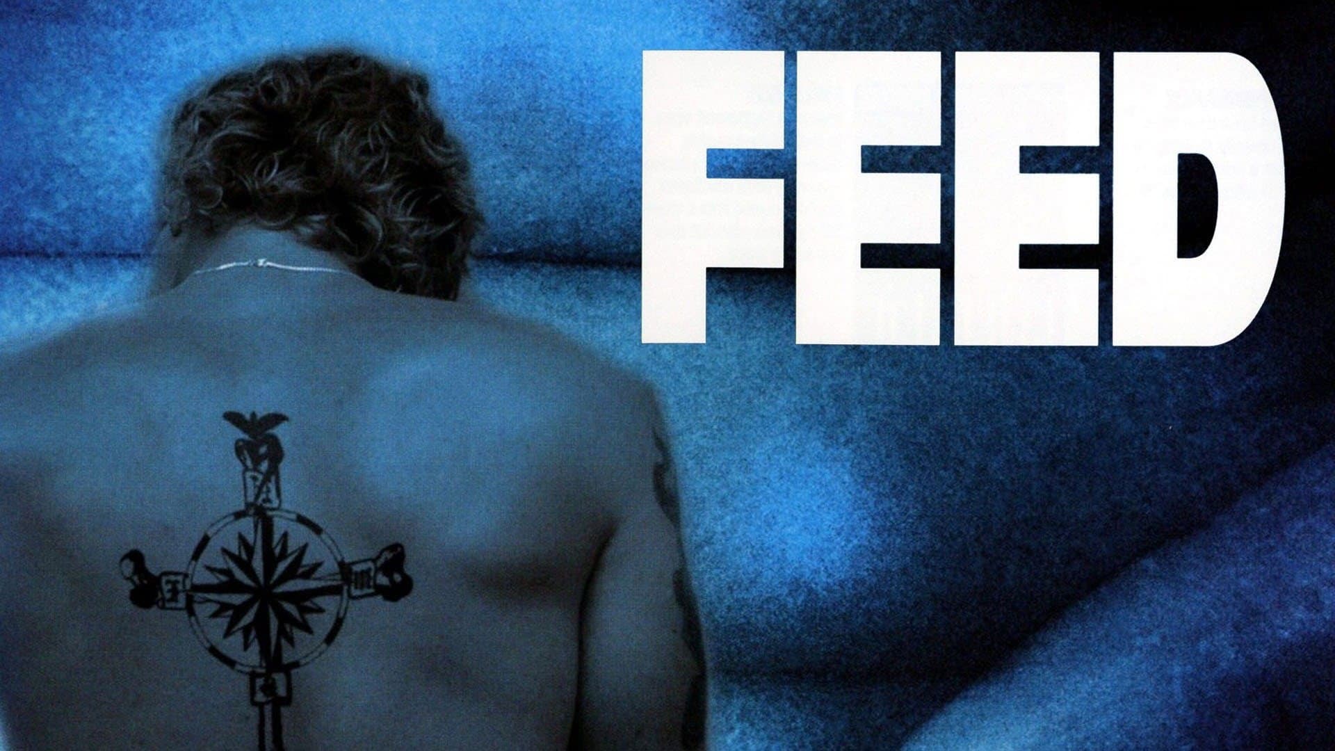 Feed - immagine