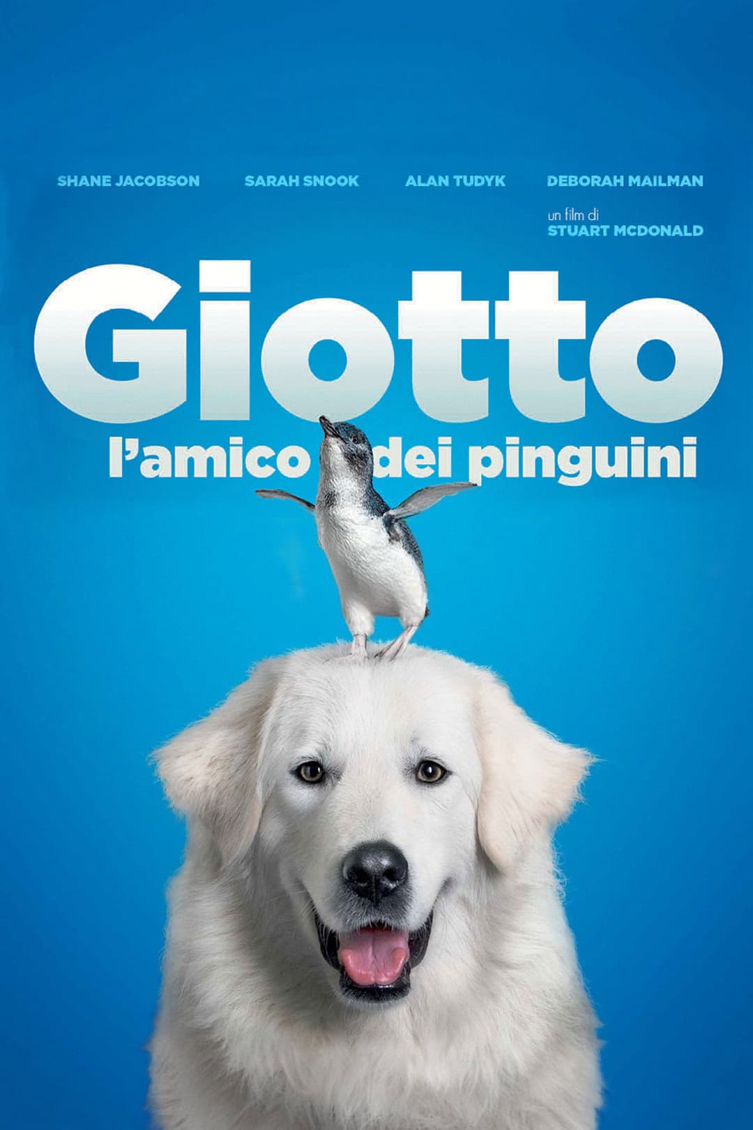 Poster di Giotto, l'amico dei pinguini