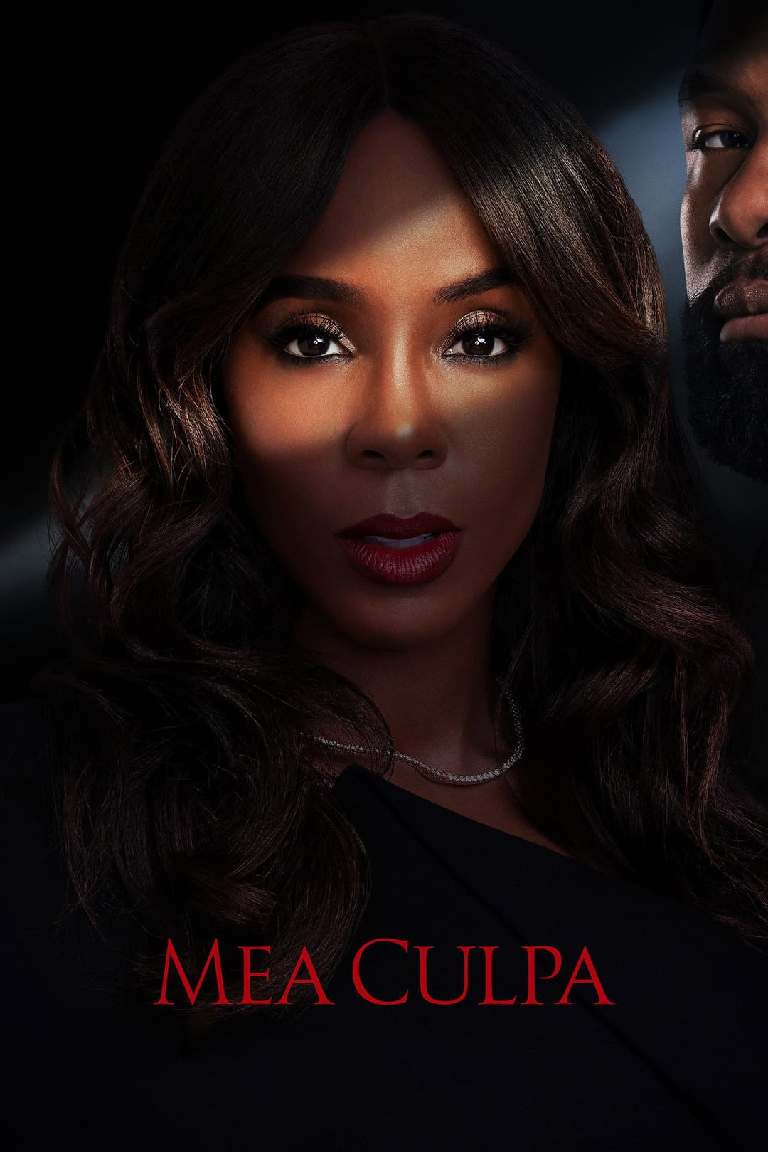 Poster di Mea Culpa