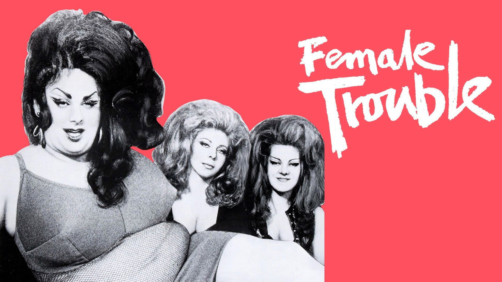 Female Trouble - immagine