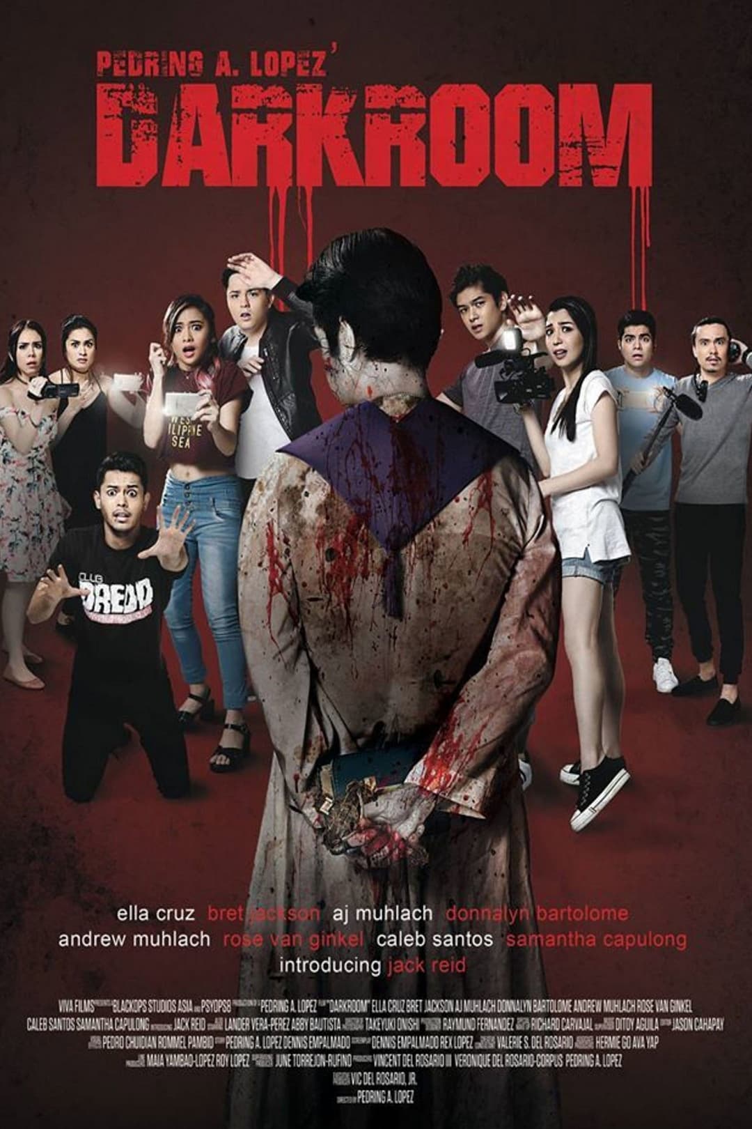 Poster di Darkroom