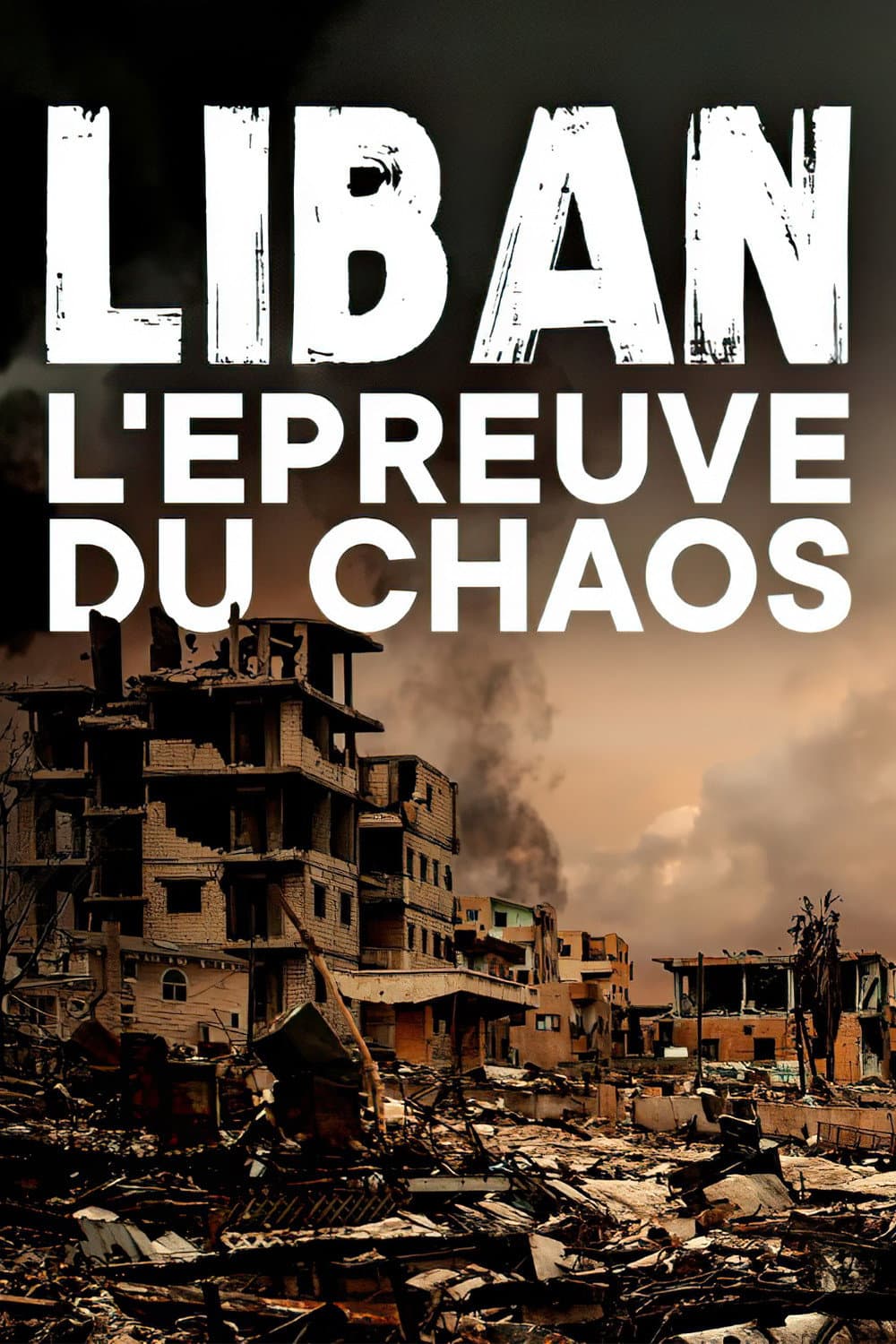 Poster di Liban, l'épreuve du chaos
