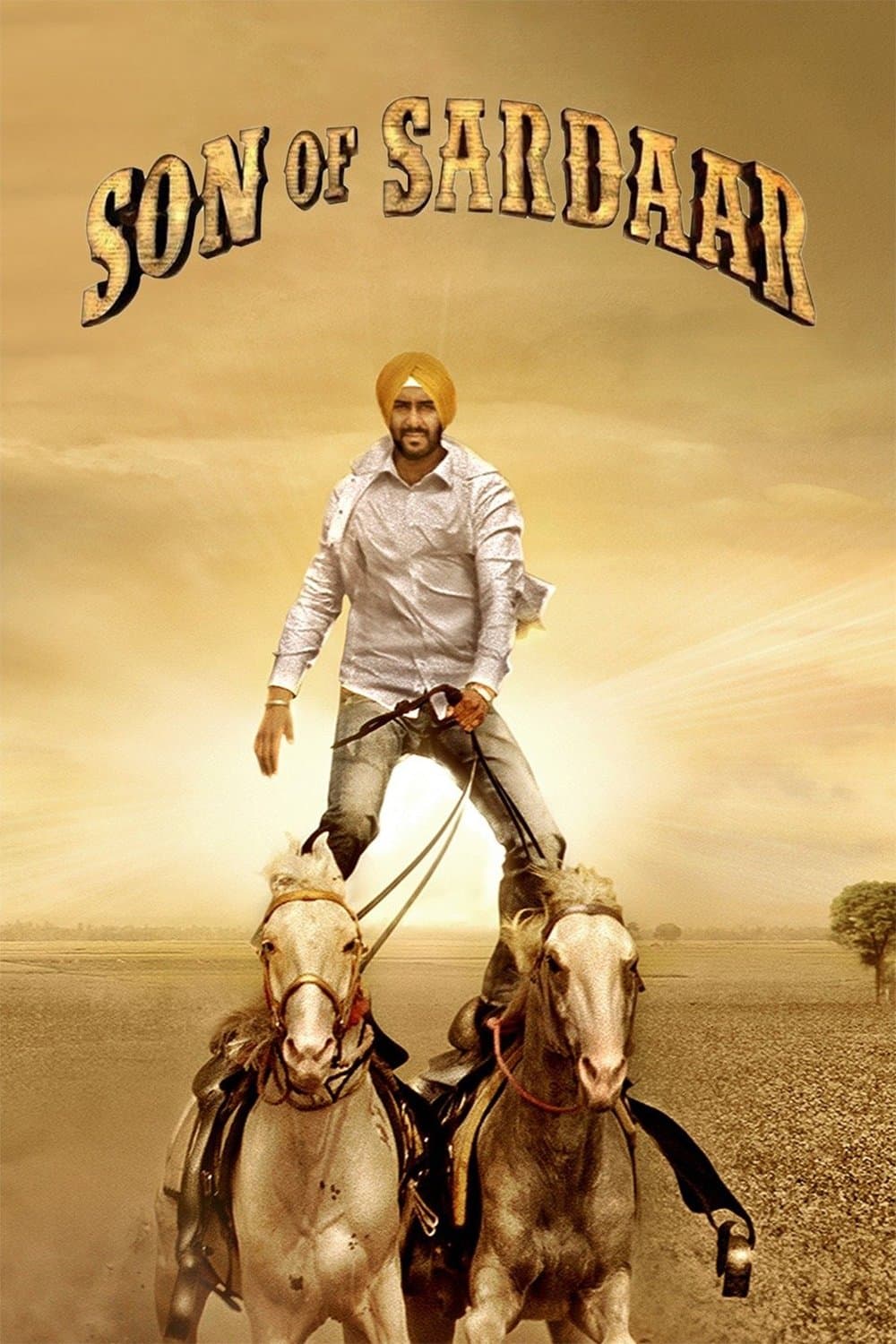 Poster di Son of Sardaar