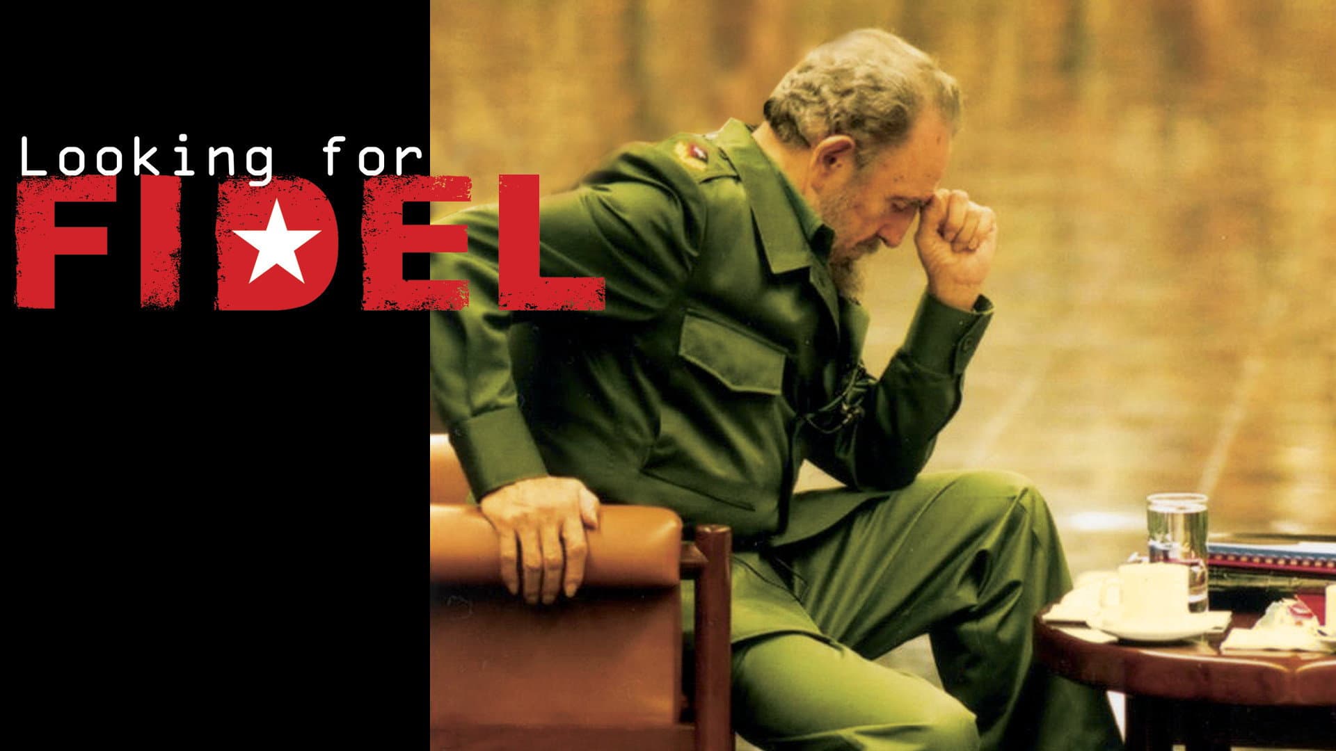 Looking for Fidel - immagine