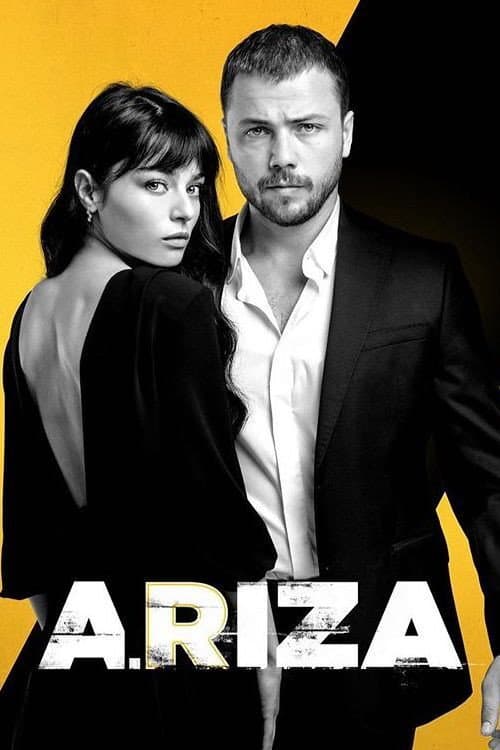 Poster di Arıza