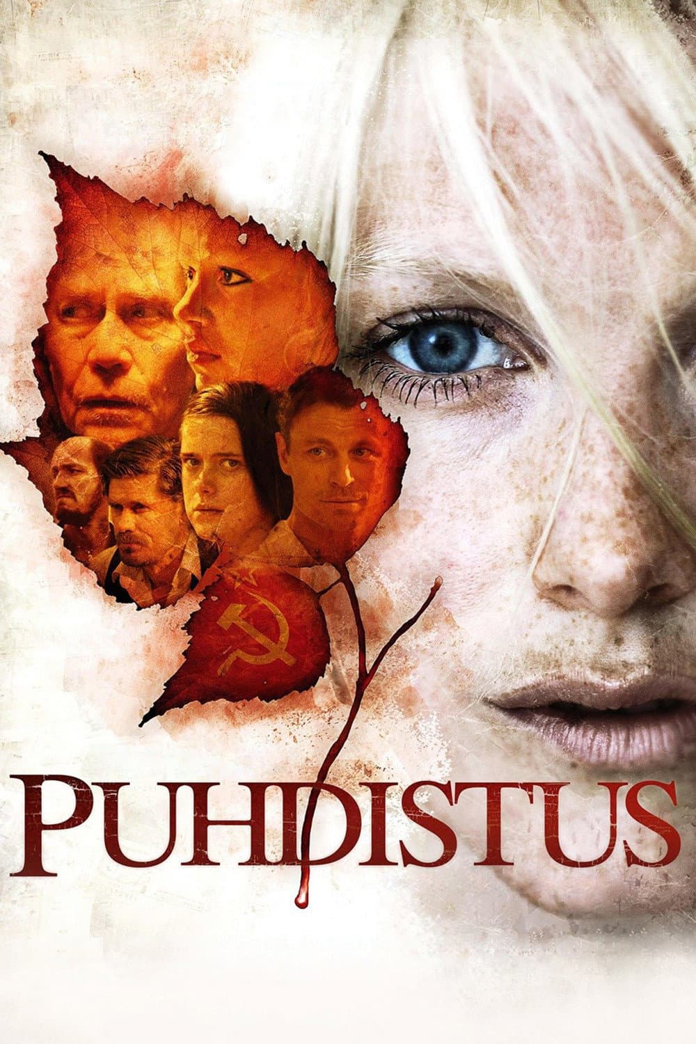 Poster di Puhdistus
