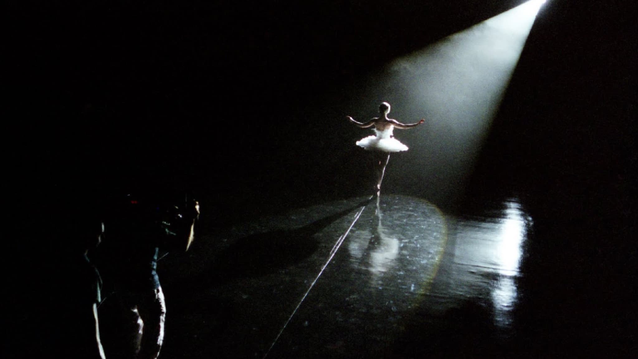 Black Swan: Metamorphosis - immagine