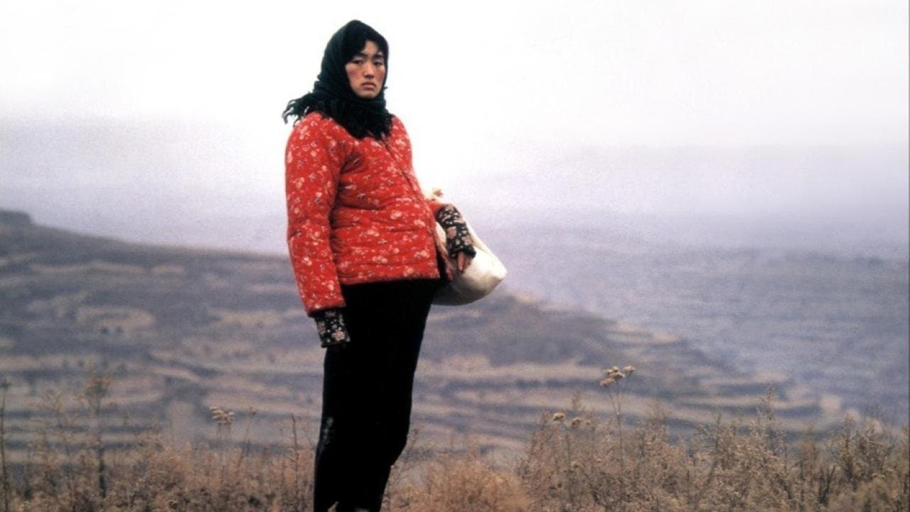 La storia di Qiu Ju - immagine