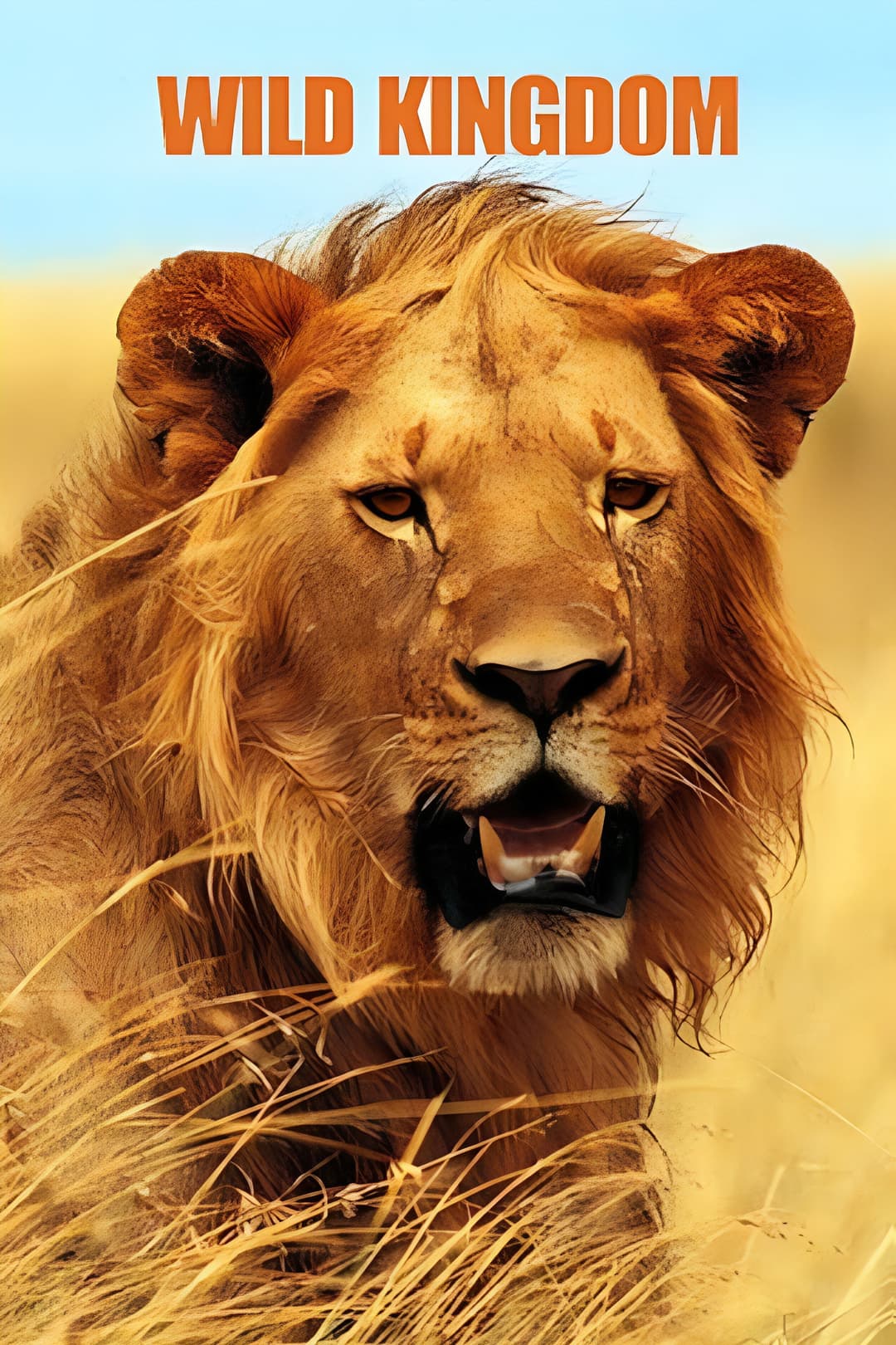 Poster di Wild Kingdom