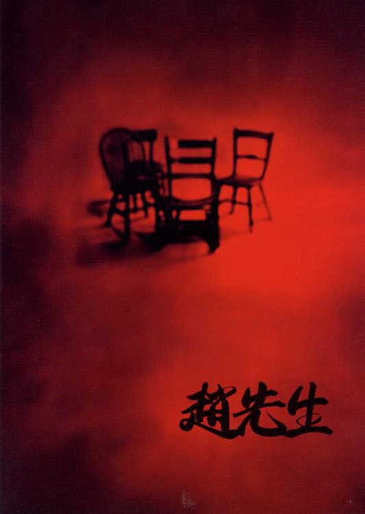 Poster di Mr. Zhao