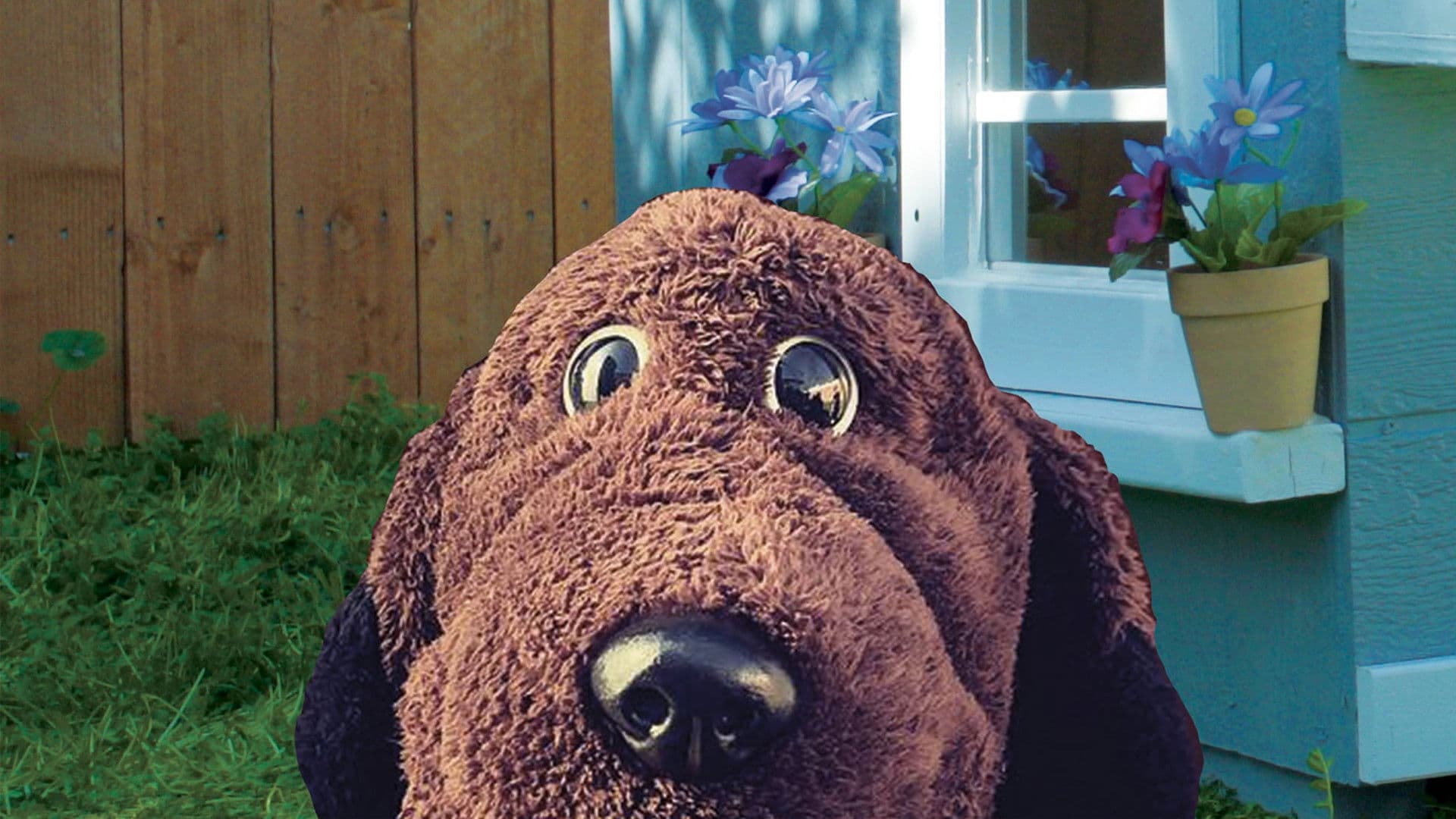Allan The Dog - immagine