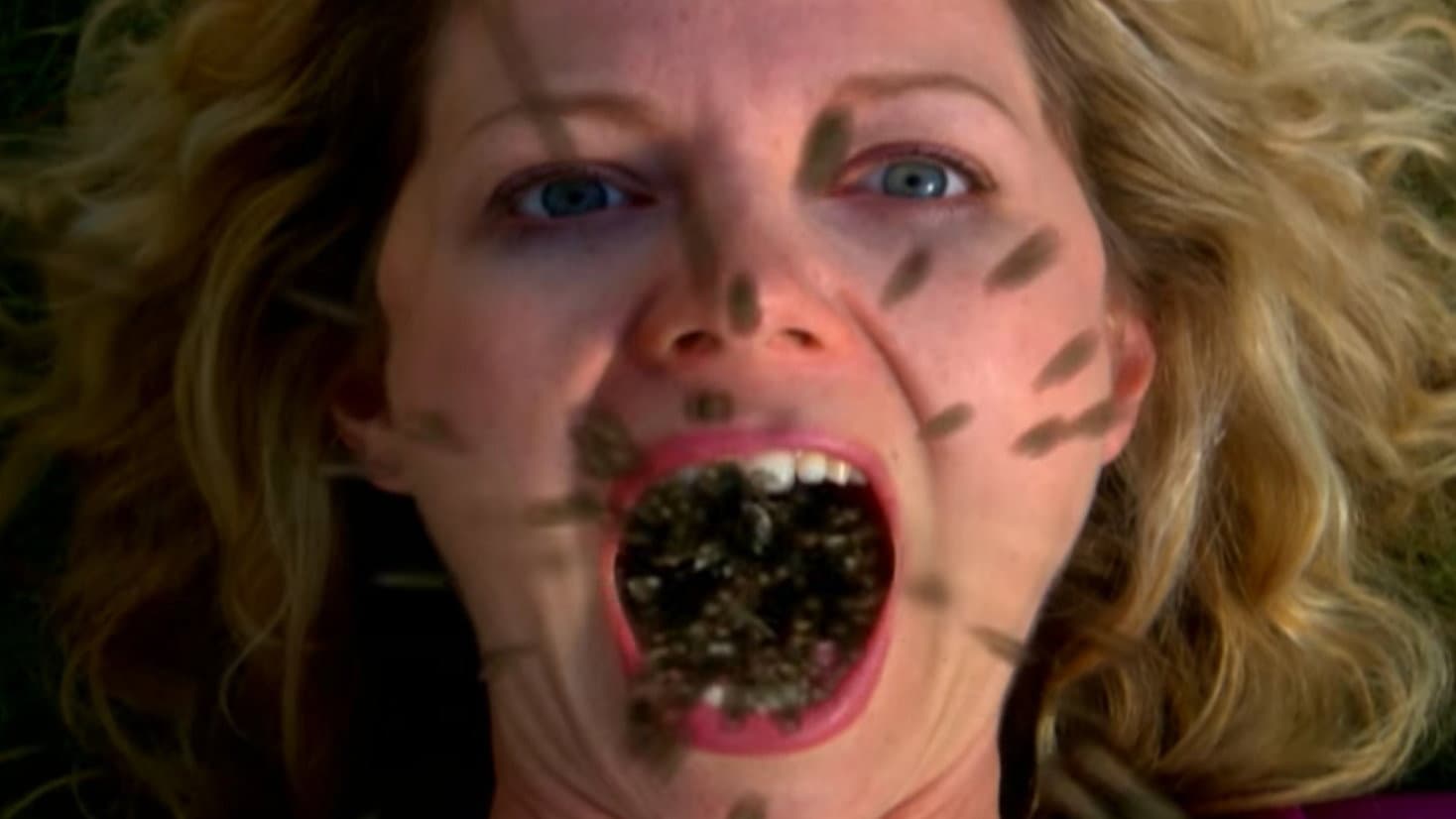 Infested - Lo sciame - immagine