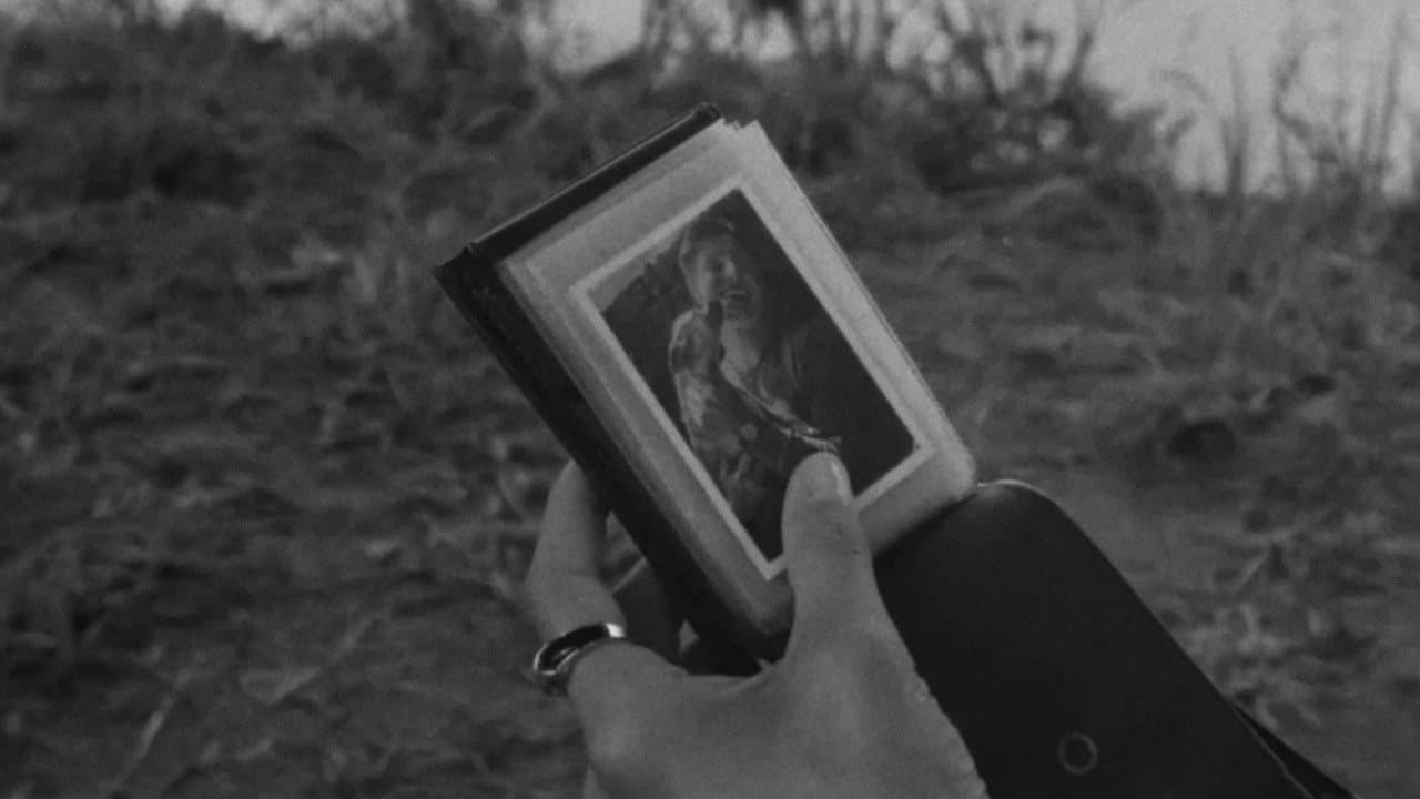 1985 - immagine