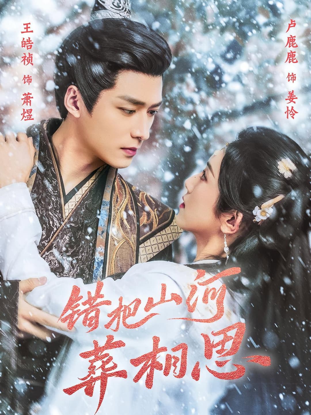 Poster di 错把山河葬相思