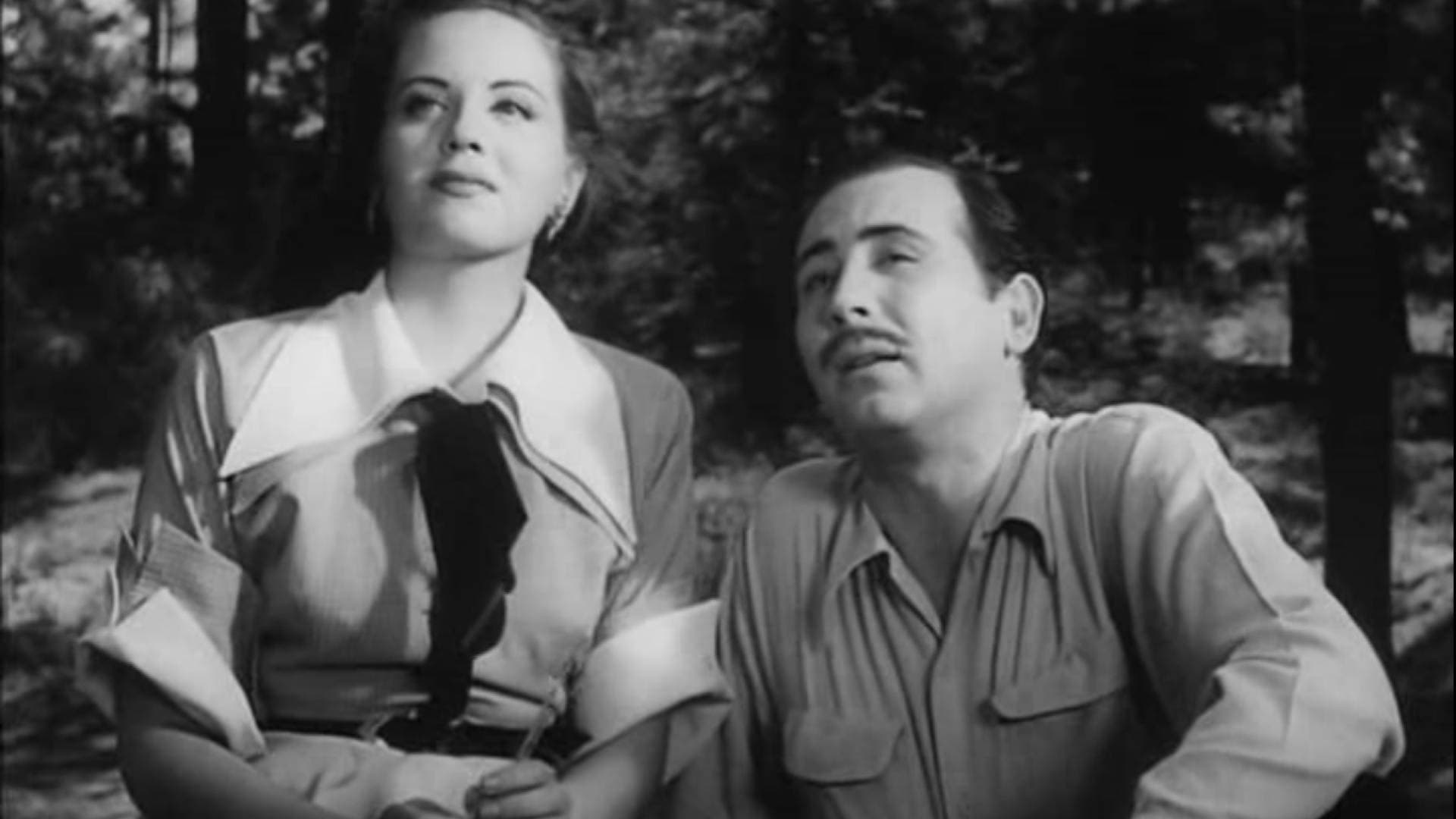 Una donna senza amore - immagine