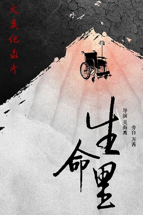 Poster di 生命里