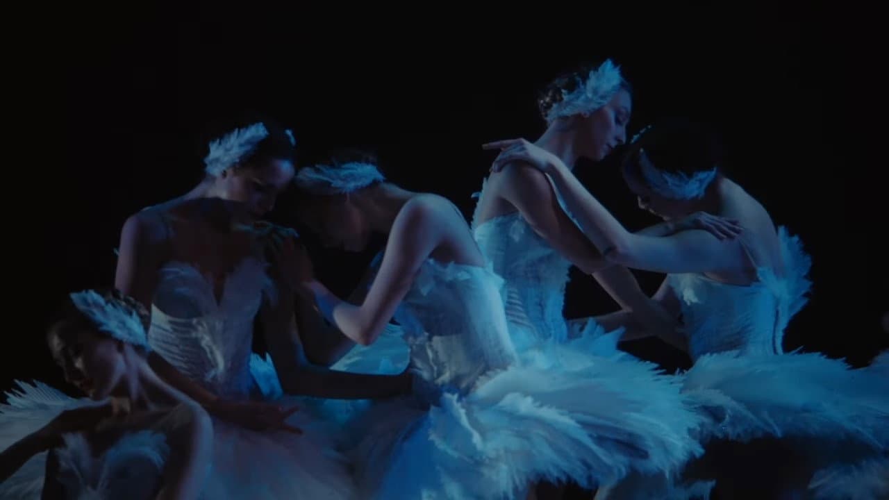 Swan Song - immagine