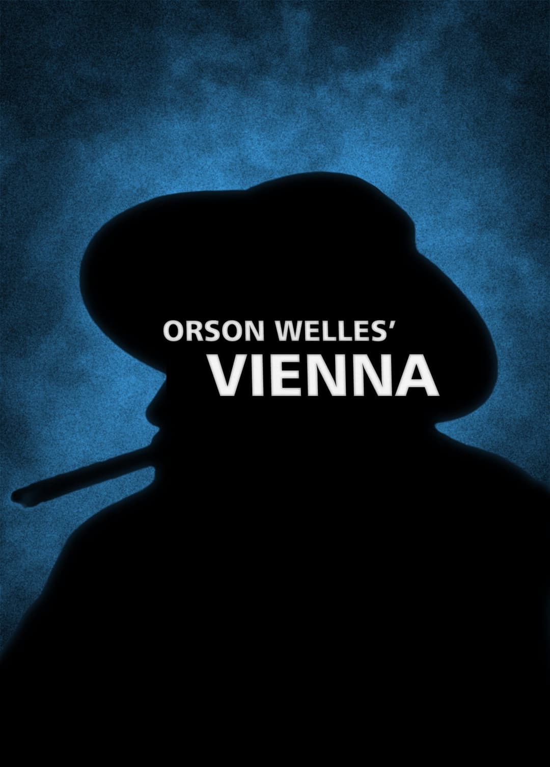 Poster di Vienna
