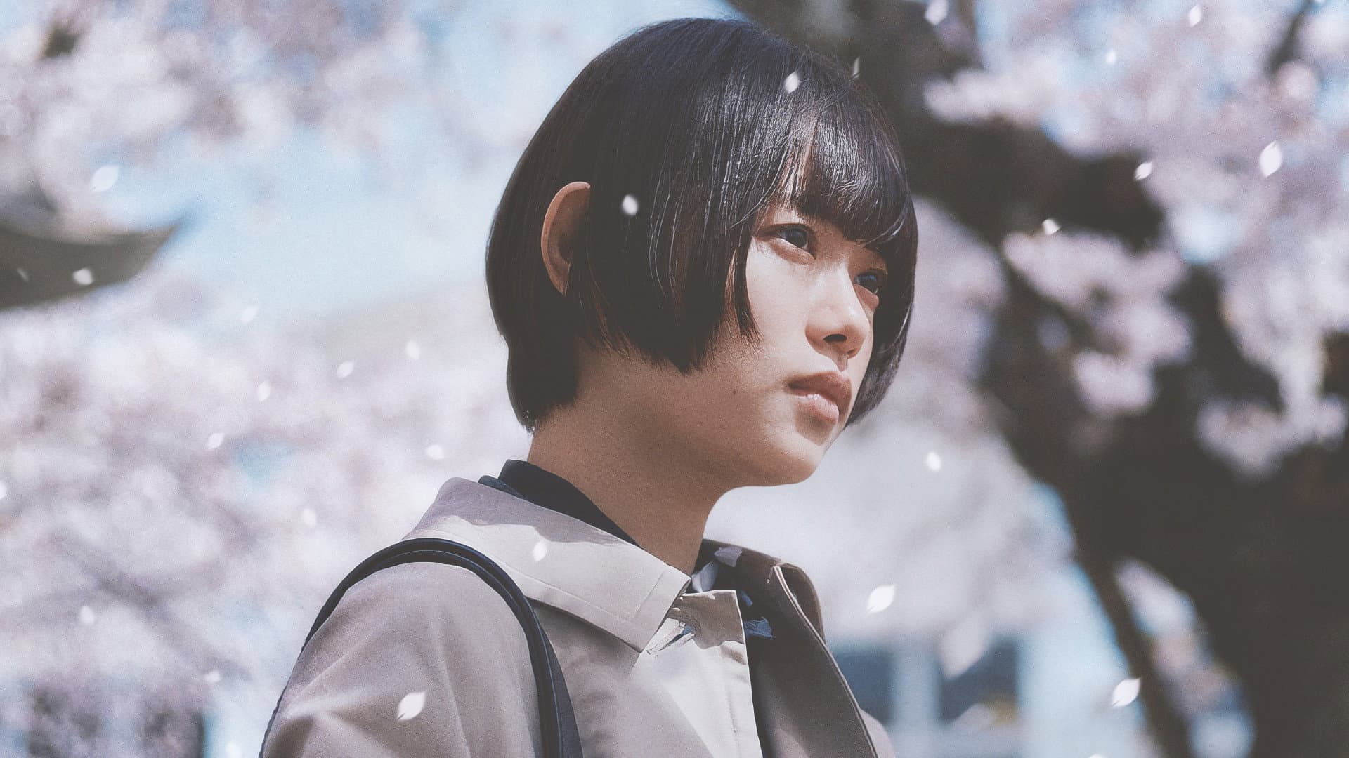 朽ちないサクラ - immagine
