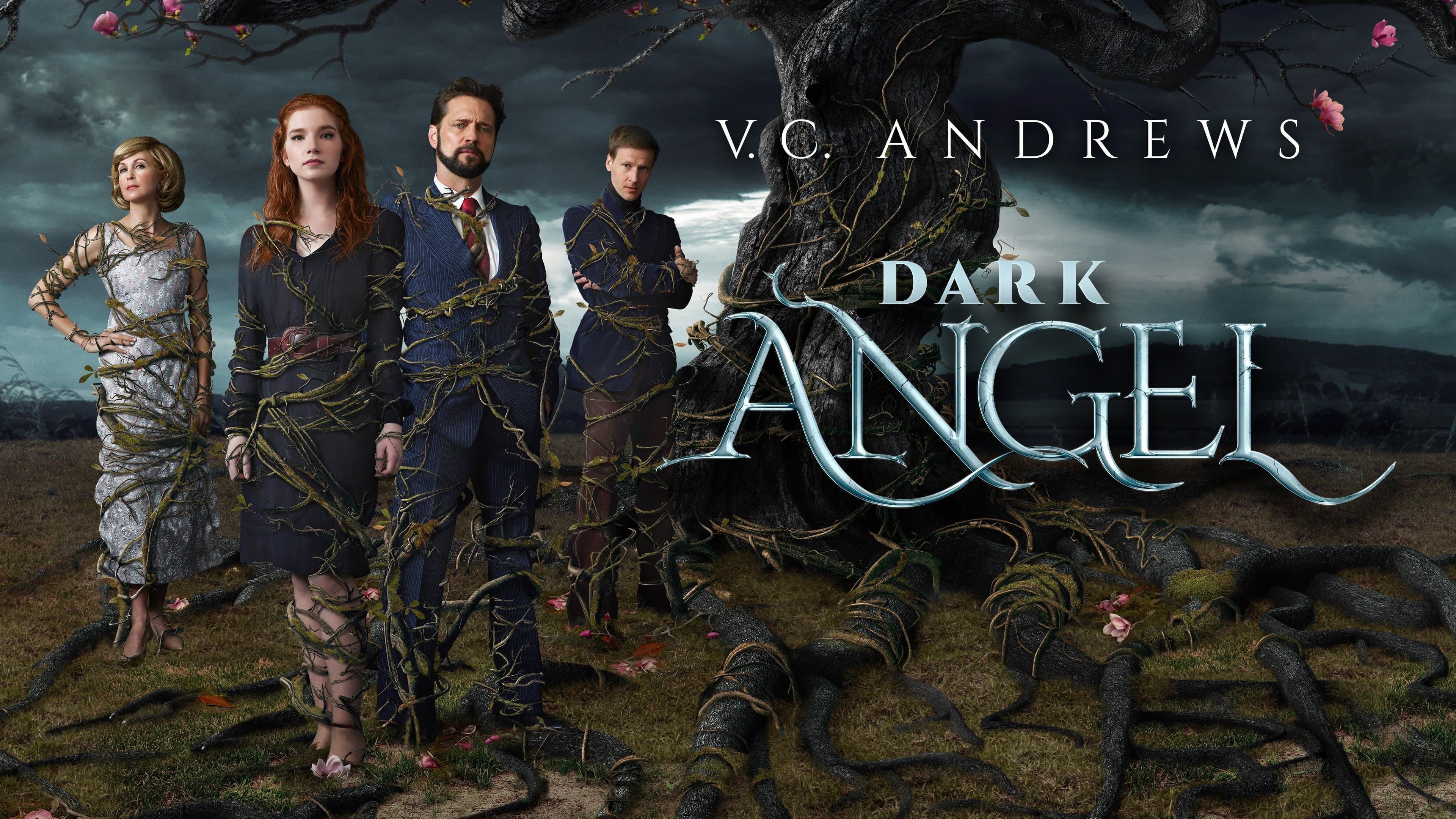 Dark Angel - immagine