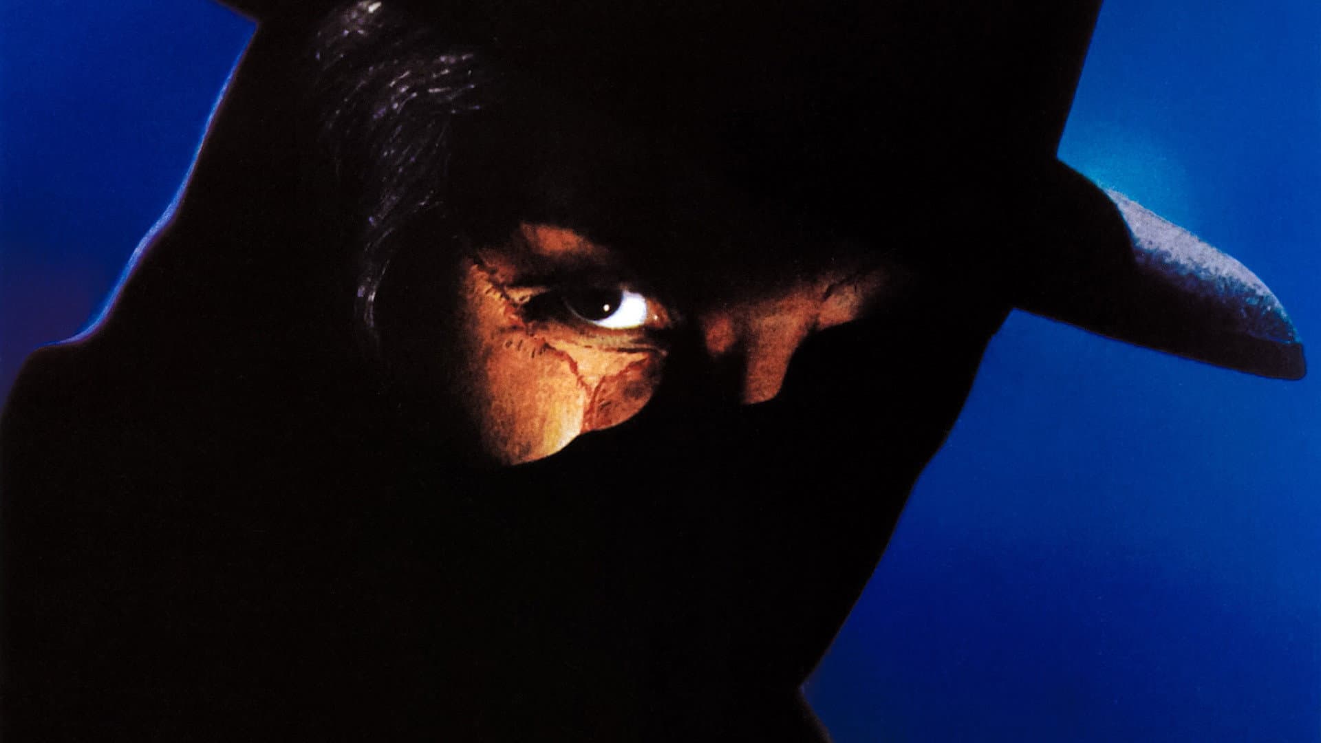 Il fantasma dell'Opera - immagine