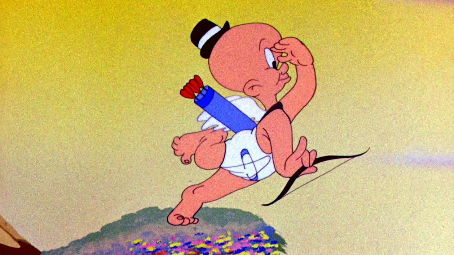 The Stupid Cupid - immagine