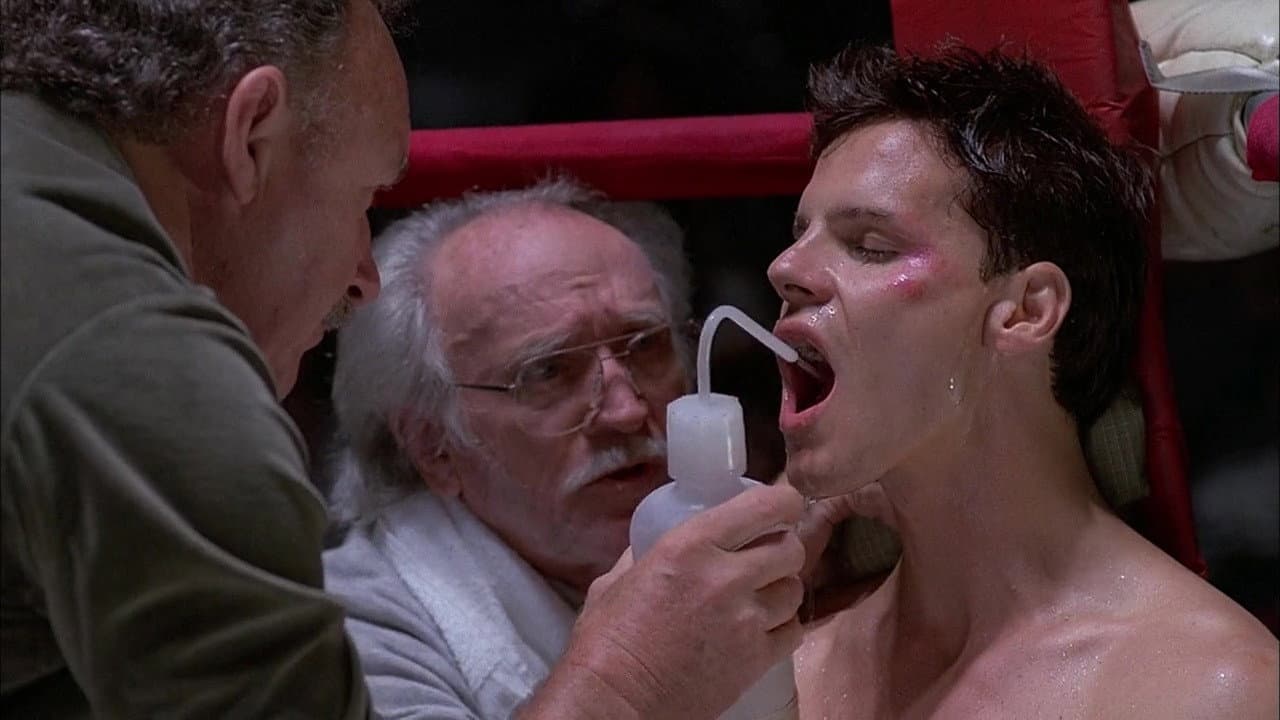 Boxe - immagine