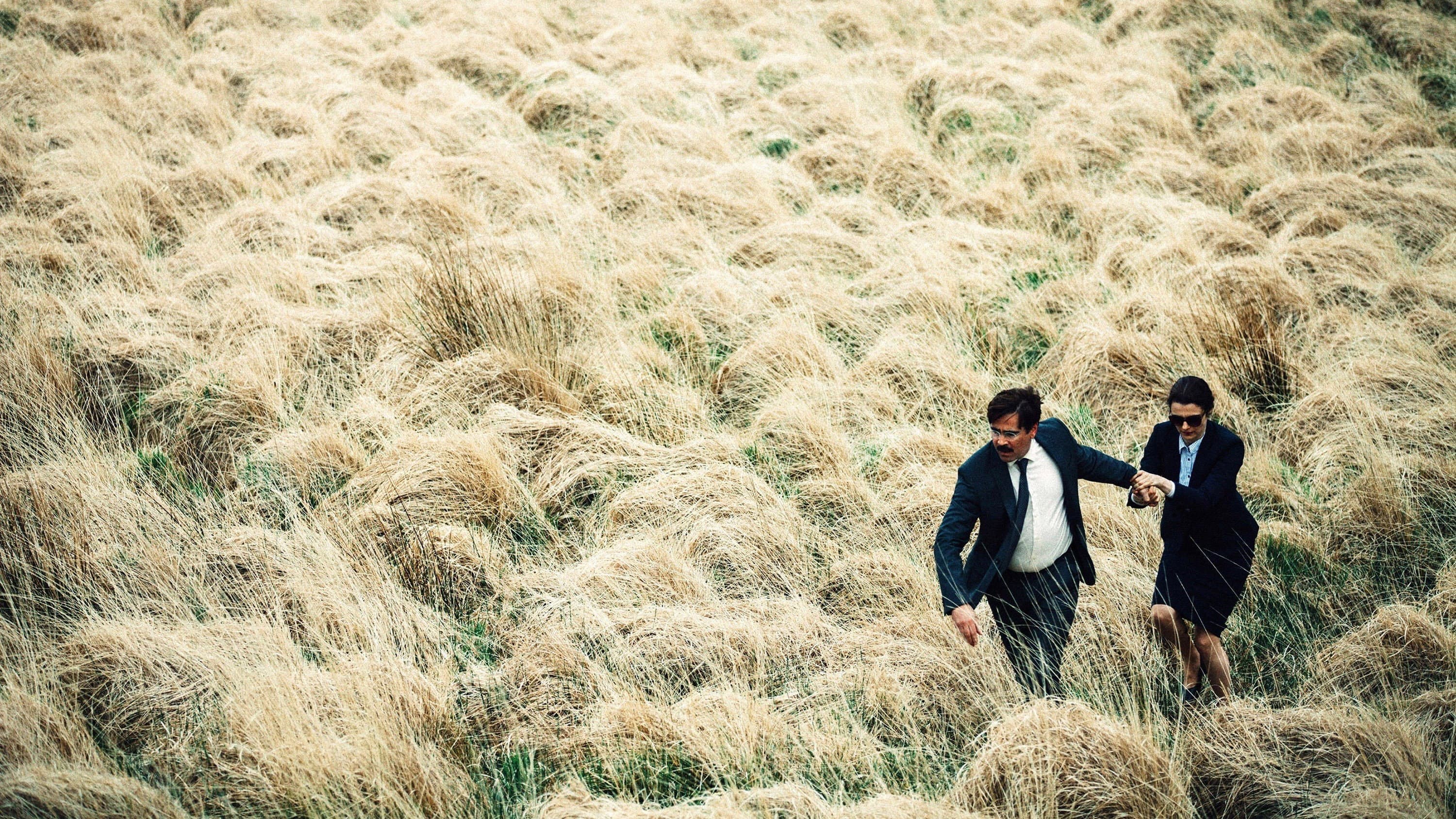 The Lobster - immagine