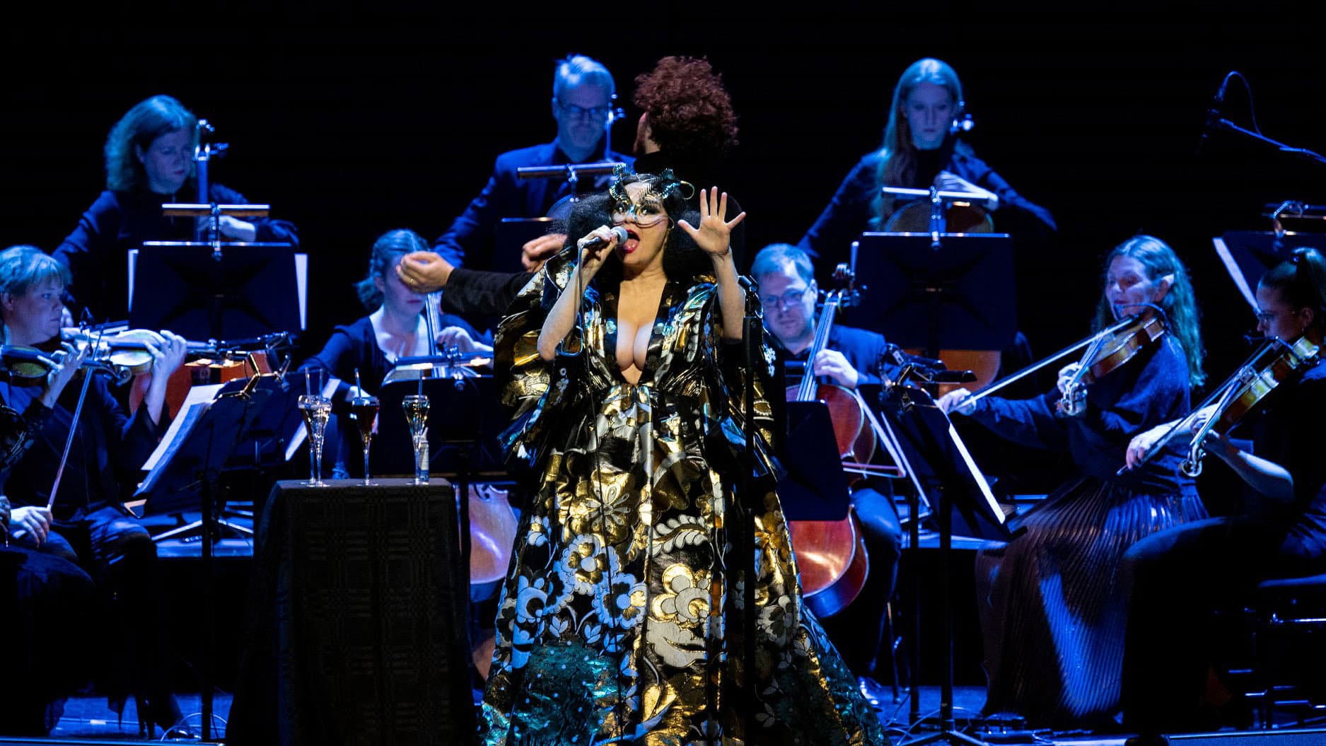 Björk Orkestral IV - immagine