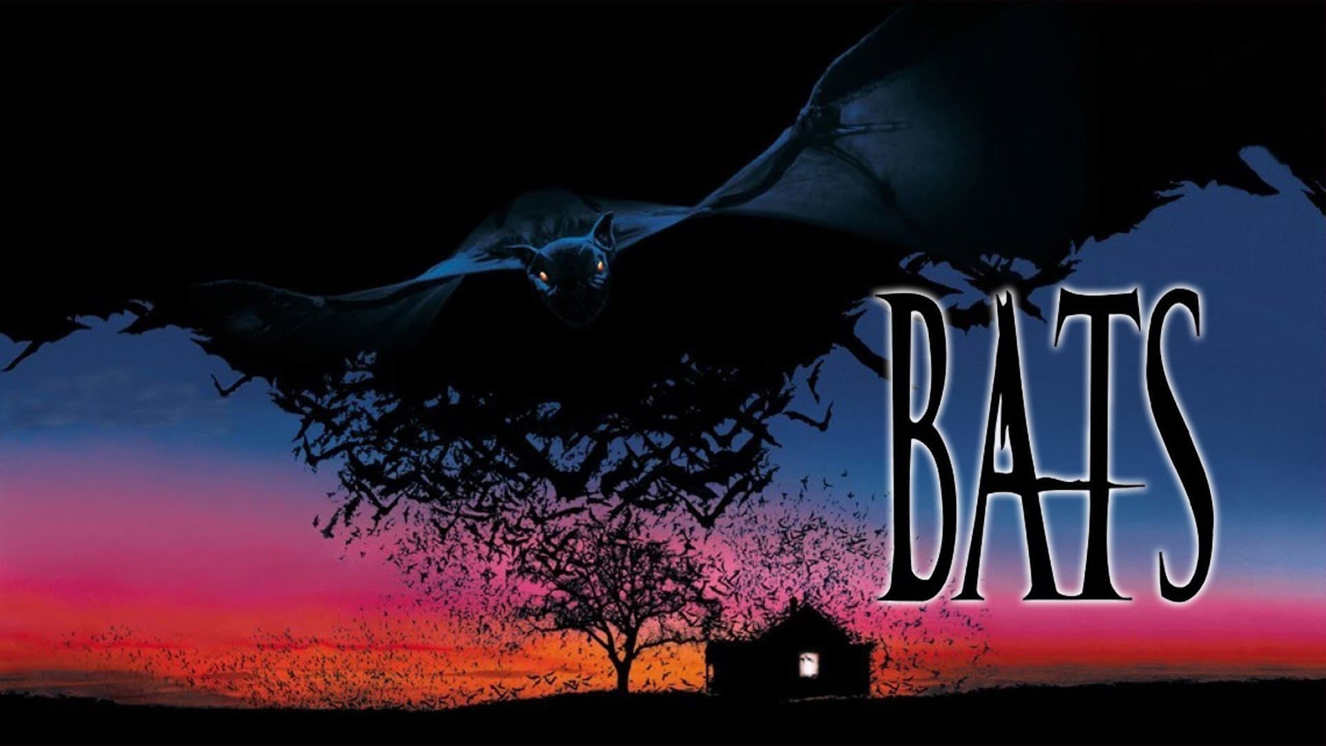 Bats - immagine
