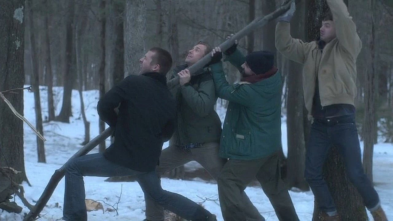 The Bad Guys - immagine