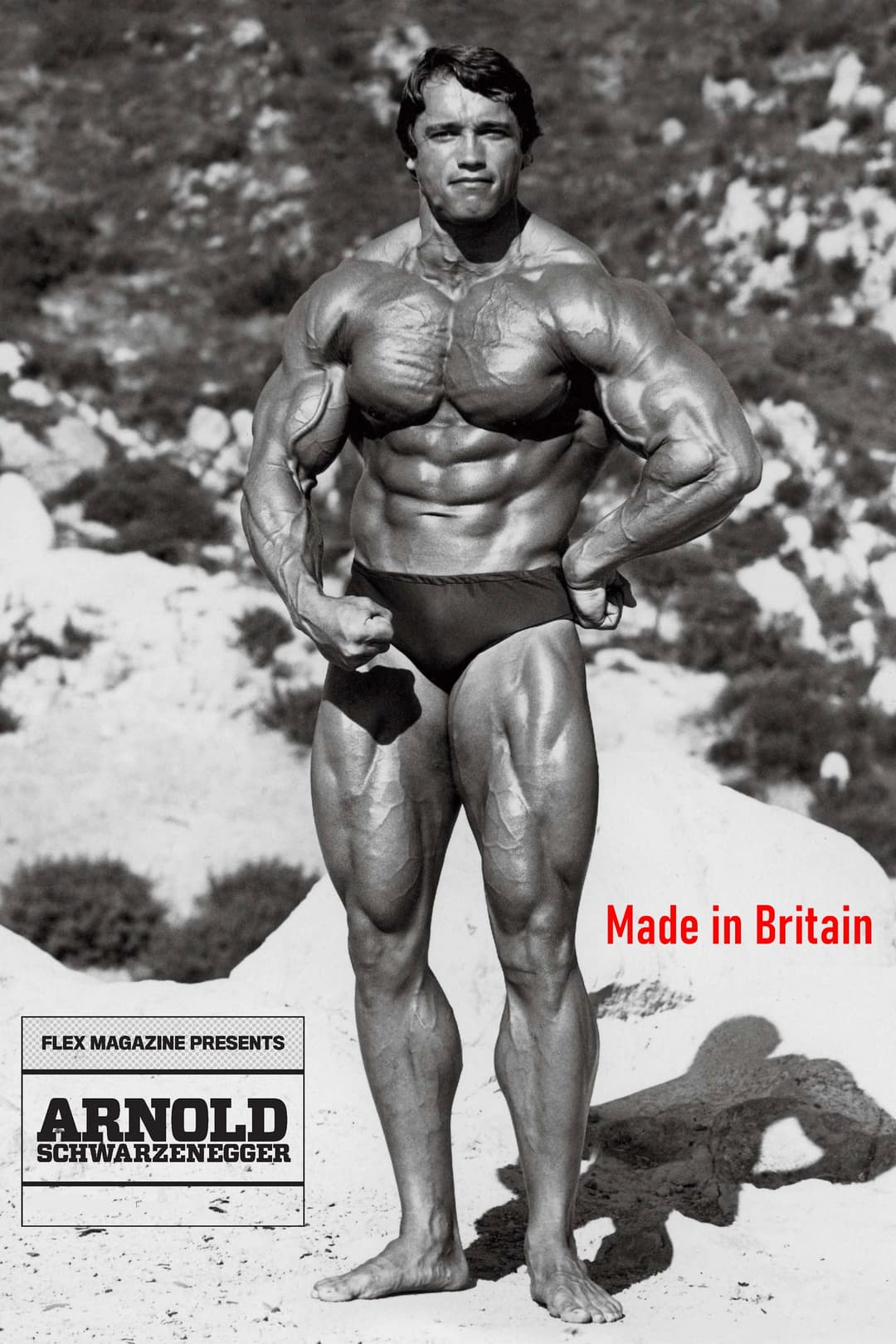 Poster di Arnold: Made in Britain
