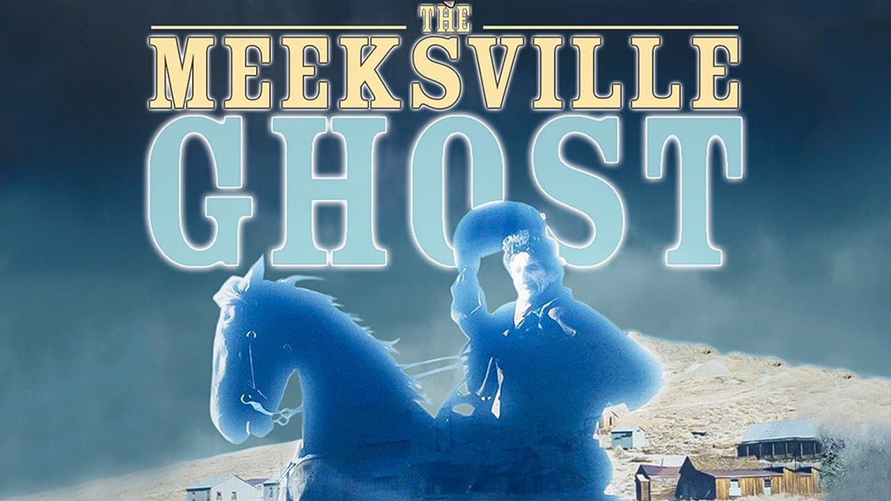 The Meeksville Ghost - immagine