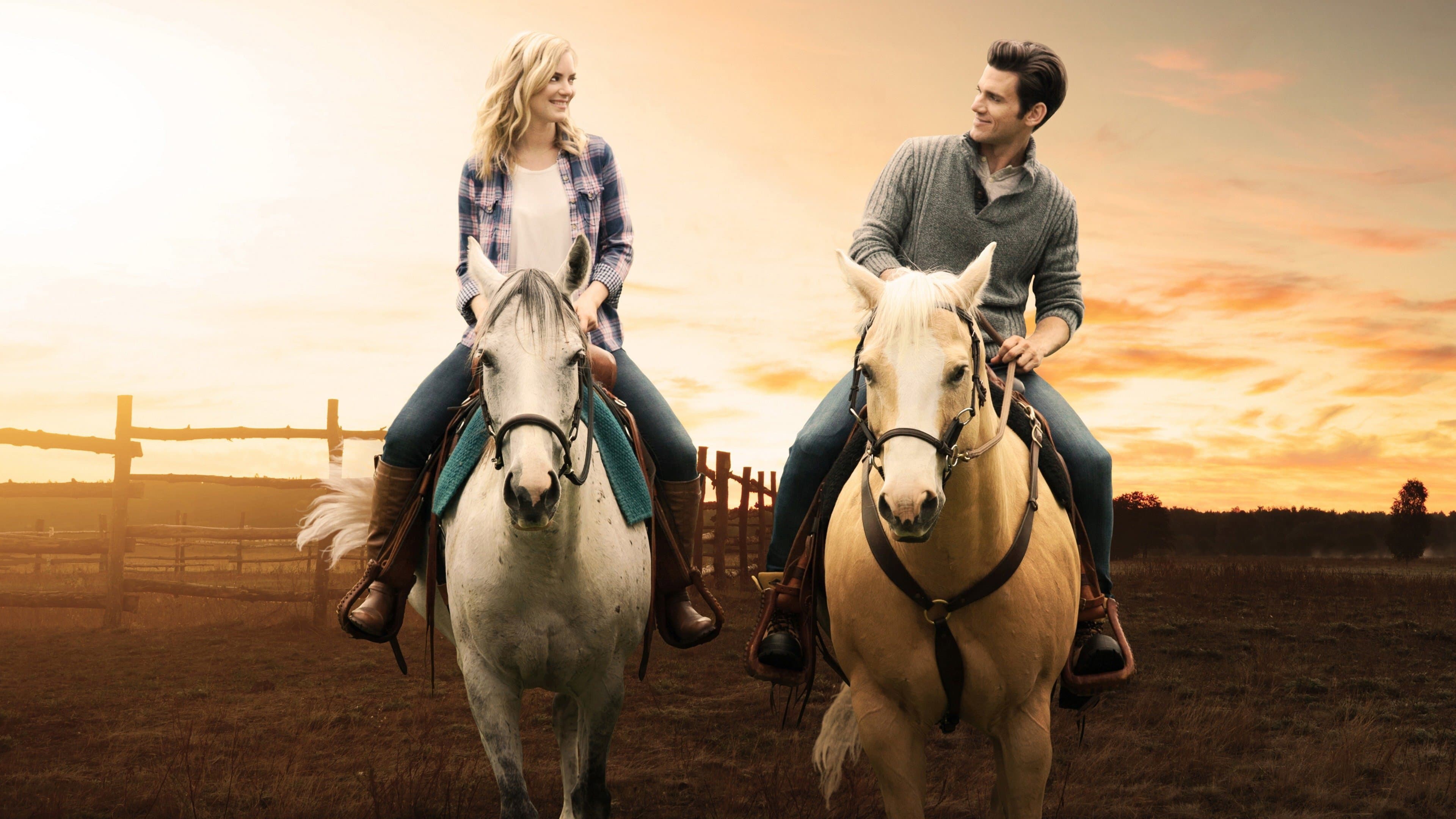 Il ranch dell'amore - immagine
