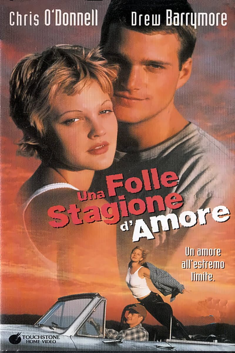 Poster di Una folle stagione d'amore