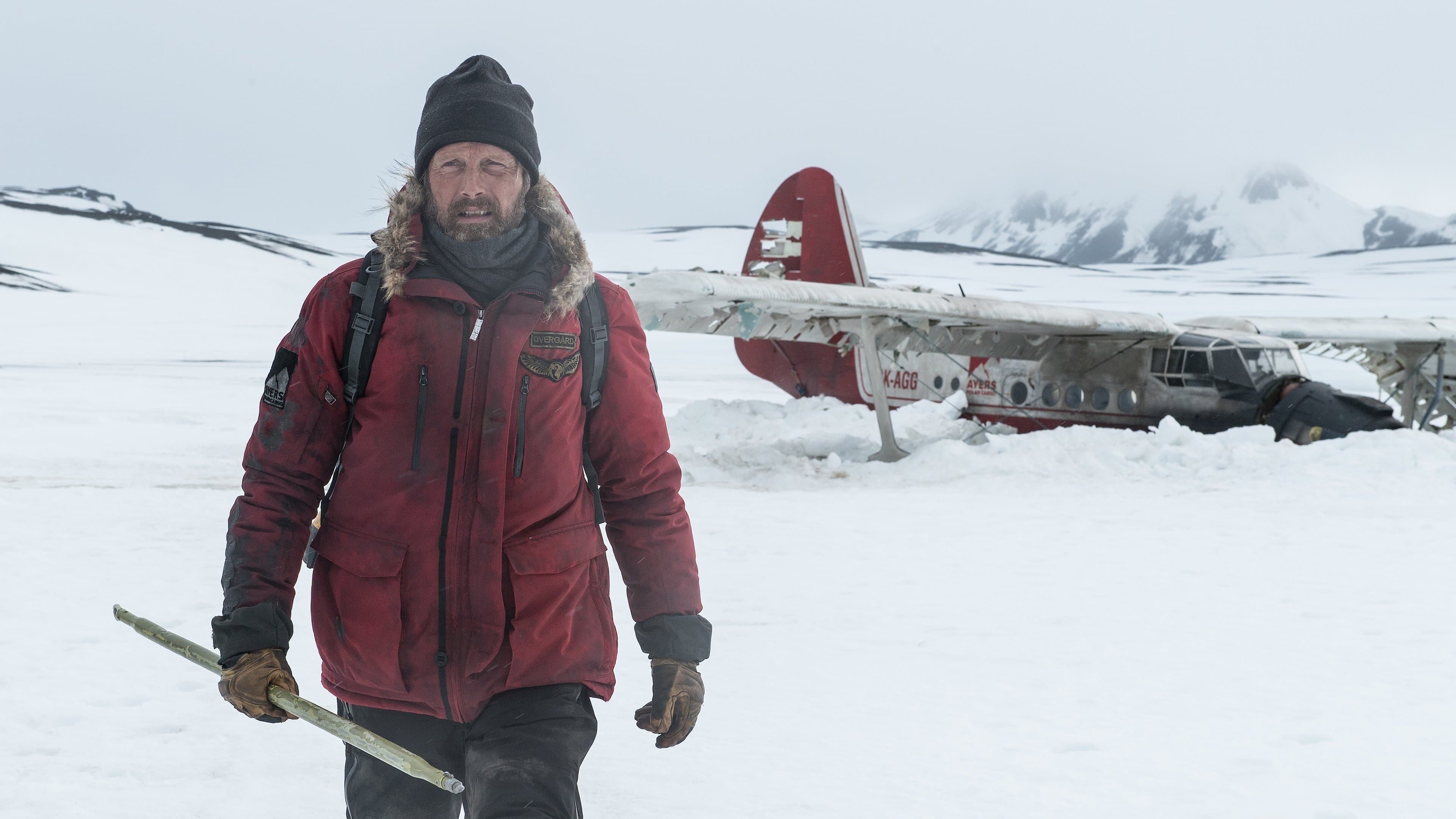 Arctic - immagine