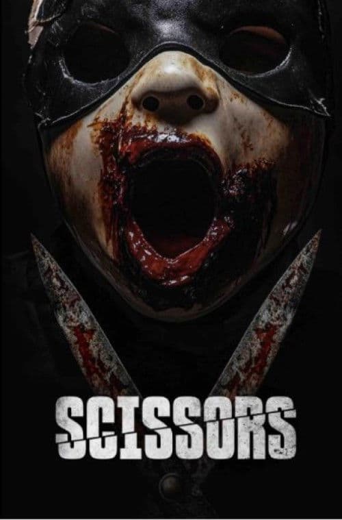 Poster di Scissors