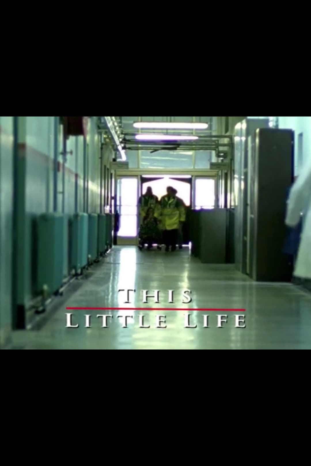 Poster di This Little Life