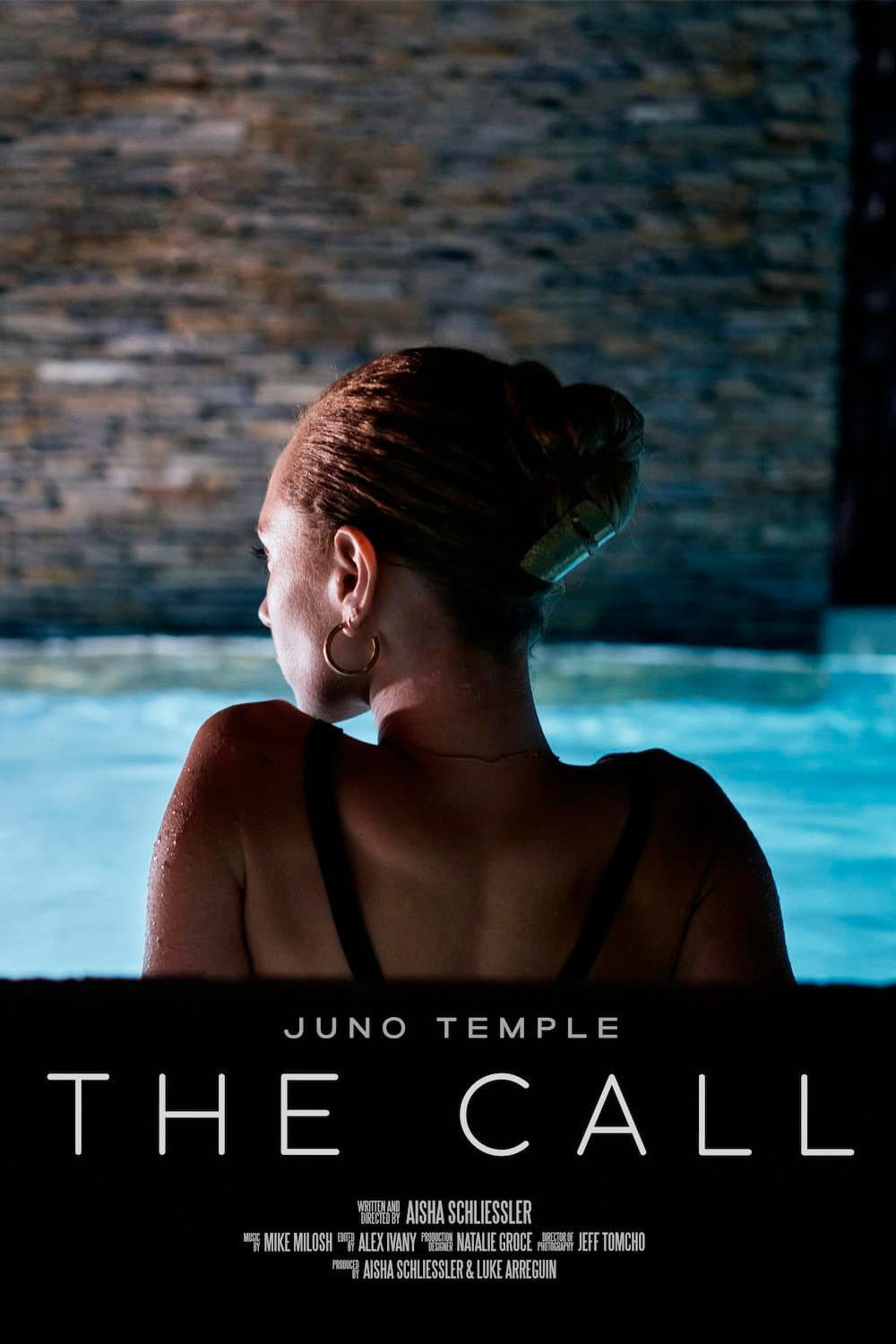 Poster di The Call