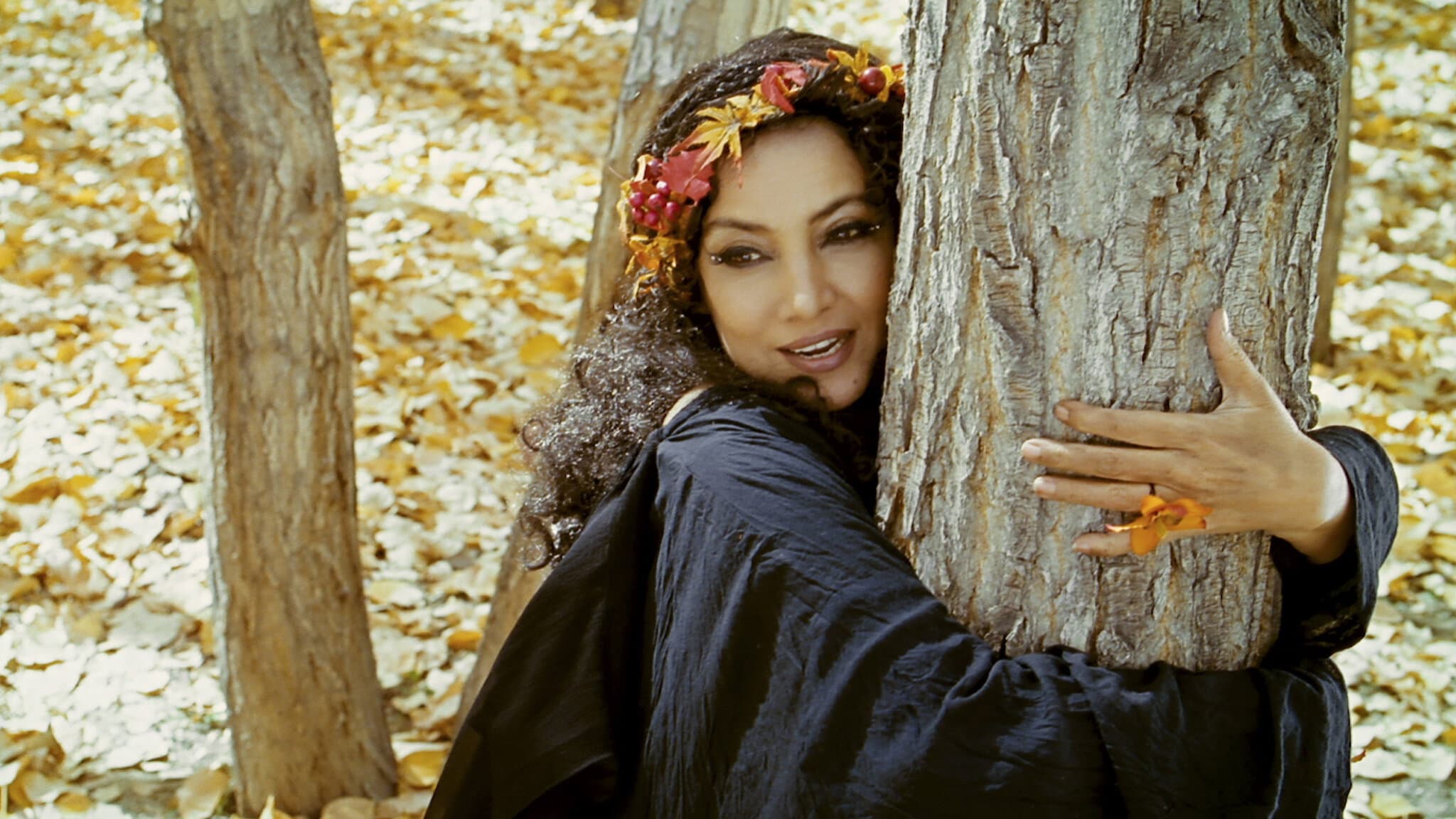 The Wishing Tree - immagine