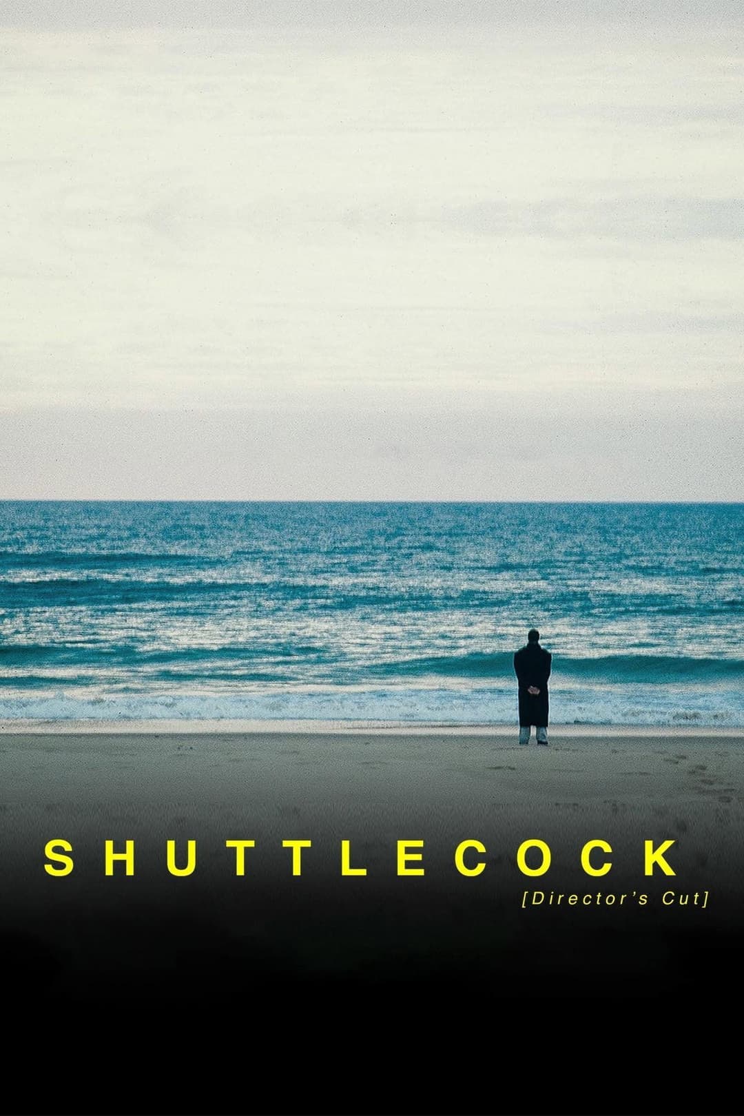 Poster di Shuttlecock: Sins of a Father