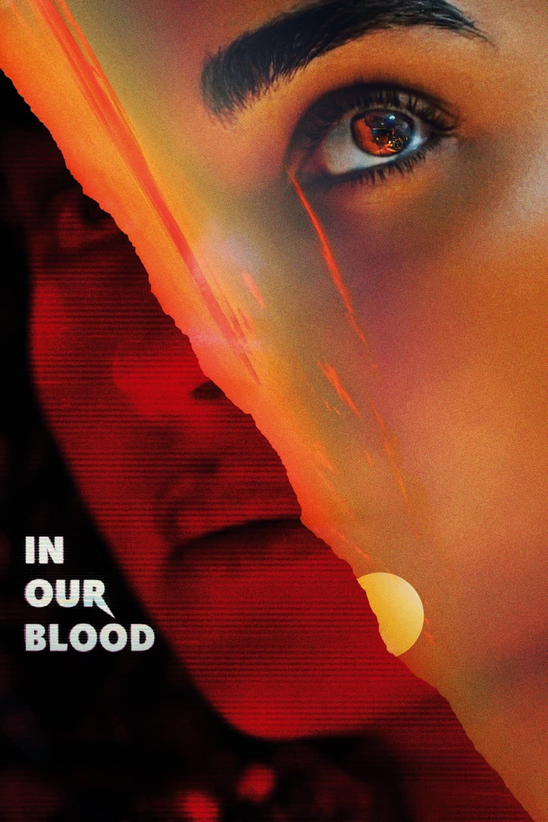 Poster di In Our Blood