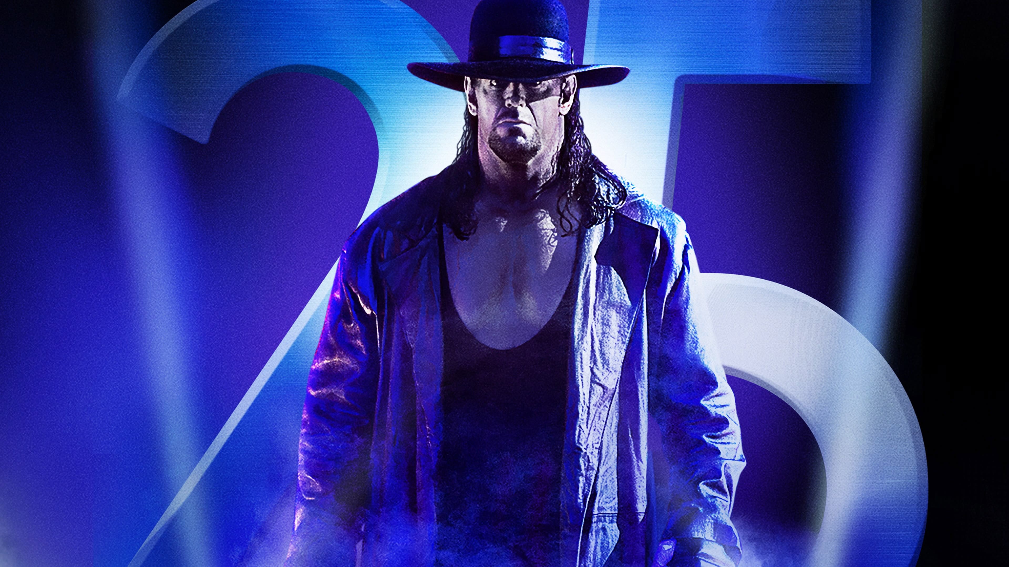 WWE Survivor Series 2015 - immagine