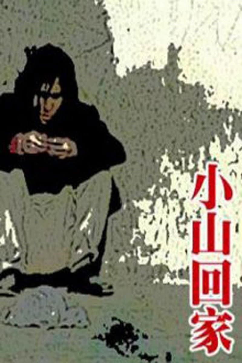 Poster di 小山回家