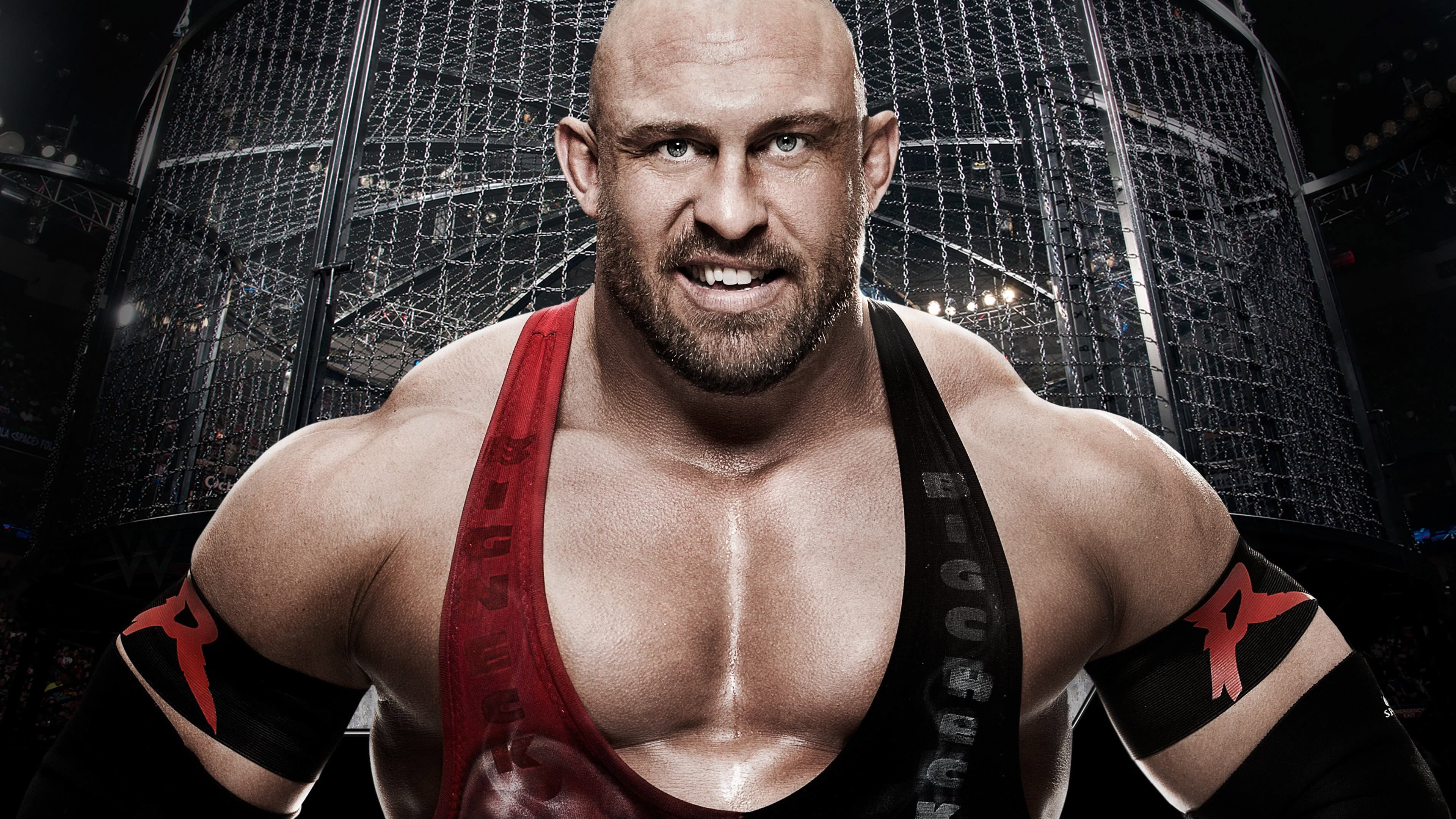 WWE Elimination Chamber 2015 - immagine