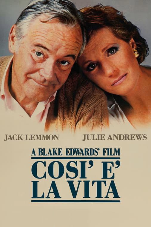 Poster di Così è la vita