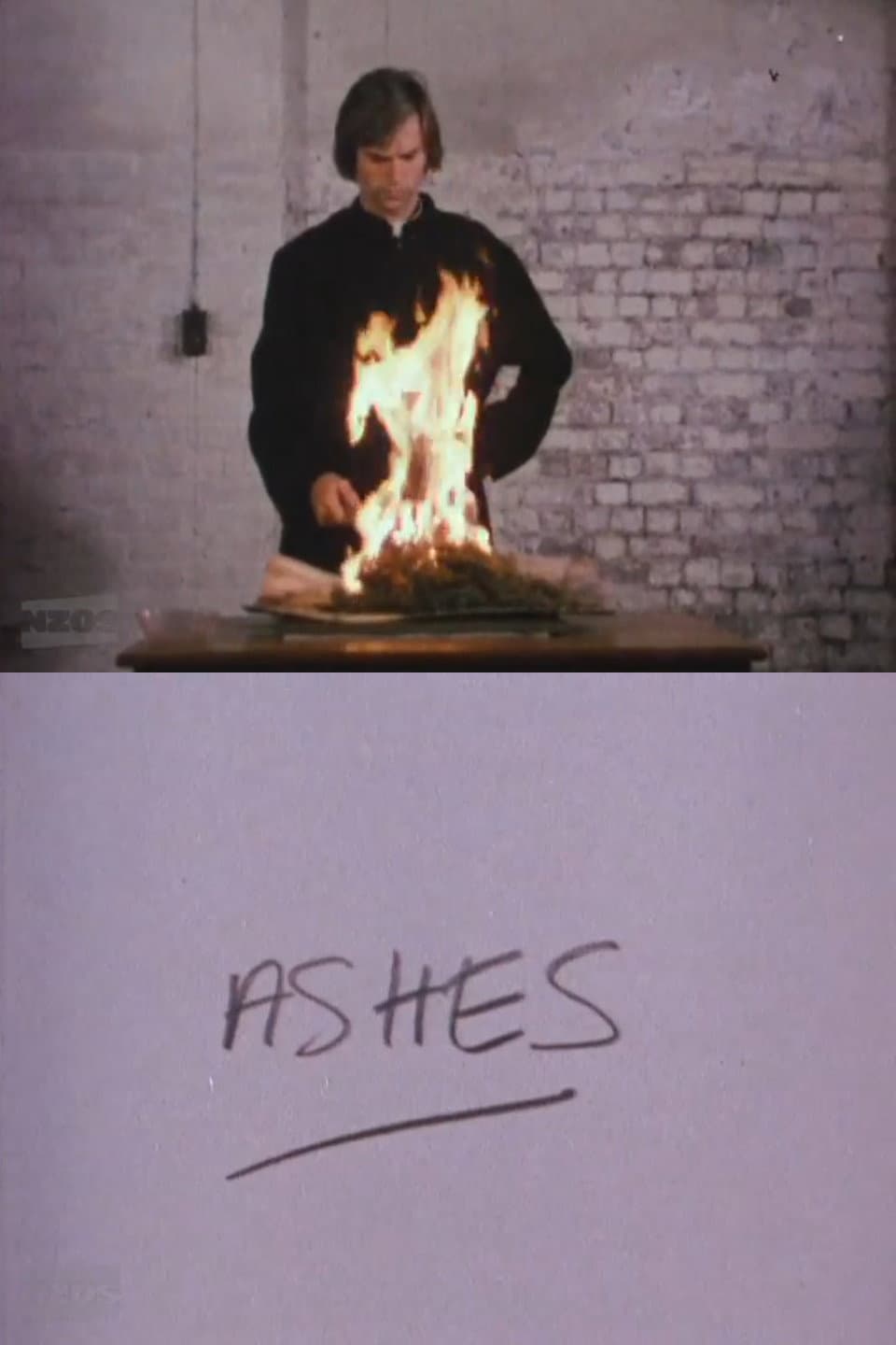Poster di Ashes